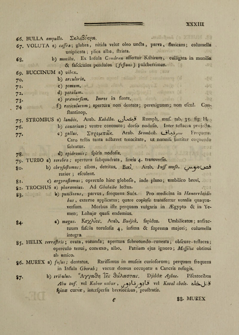 66. BULLA ampulla. 67. VOLUTA a) caffia; glabra, nitida velut oleo unfta,, parva» flavicans; columella uniplicata ; plica alba, ftriata. b) monilis. Ex Infula Cunnrun affertur Kahiram,, colligata ili monilia & fafciculos pendulos (fejlans) pulcherrimos. 69. BUCCINUM a) vibex. 70. b) arcutaria. 71. c) pomum. 72. d) patulum» 72. e) pr£viorfum. Imros ira fonte» 74 • '?) reticulatum; apertura non dentata;, perexiguum; non efcuL C011- flantinop* STllOMBUS a) lambis. Arab. Kabddn. Rumpfr. muf. tab. 35. fig H. 75 76. 77 b) canarium; ventre coronato; dortb nodofo. Inter teftacea projecfa. c) gallus. 'ZTQOfJ.TloiK. Arab. Srombnk. Frequens. Caro tebis tanta adhaeret tenacitate» ut nonnifi fortiter coquendo folvatur. 78. d) epidromis; fpiris nodofis. 79. TURBO a) terebra; apertura fubquadrata „ lineis 4. traroverfis. 80. b) cbryfoft ornus; albus, detritus. B Mi. Arab* Bujf ntuja. rarior ; efculent. gf. c) argyroflomus; operculo hinc globofo, inde plano; umbilico brevi* 82. TROCHUS a) pbaraonius. Ad Ghobeibe le&us. g^. b) punctatus, parvus , frequens Sues. Pro medicina in H&morrhoidi- bus » externe applicatus; quare coprofe transfertur venalis quaqua- verfum. Morbus ifte perquam vulgaris ira iEgypto & in Ye- men; Lohajae quafi endemius. magus. Ko%A»W. Arab» Budjek. fapidus. Umbilicatus; anfrac¬ tuum fafciis torulofis 4, infima & fuprema majori; columella integra. 85, HELIX terreftris ; ovata, rotunda; apertura fubrotundo-cuneata; obfcure-teffacea; operculo tenui» convexo» albo. Patriam ejus ignoro; MaJJilia obtinui ab amico. J6* MUREX a) fufus; dentatus. Raribimus in mufeis curioforum; perquam frequens in Infula Gborab; vacuae domus occupata; a Cancris refugis. 87. b) tribulus. 'AyyccBr]; ']%£' SocXoctraas. Djiddac Ajdtie. Pifcatoribus Abu ouf. vel Kabur iiabur , vel Katal chale* fpinae curvae, interfperfis brevioribus, profhatis. e 88. MUREX