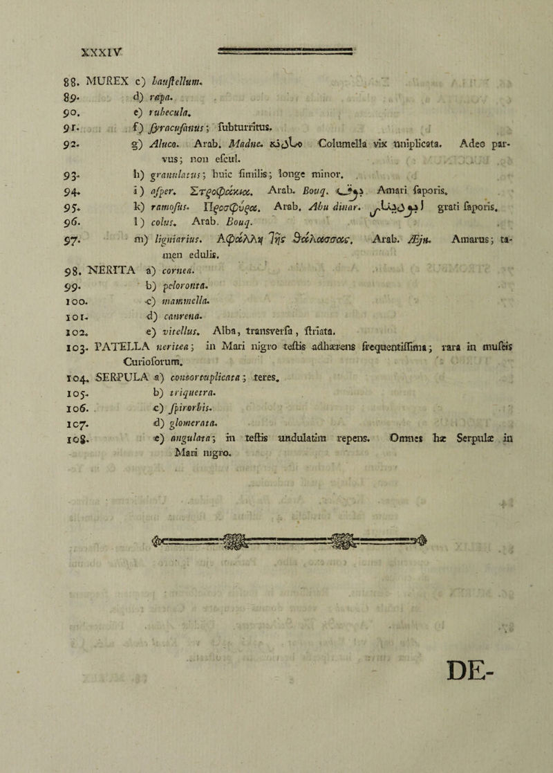 88. MUREX c) hauft ellum. 8 9- 9°. 9U 92. 93* 94* 95* 96. 97* ori d) rapa. e) ruhecula. f) fyr acufanus; fubturritus. §) Aluco. Arab. Madne. Columella vix rmipHcata. Adeo par¬ vus; nou efcui. Ii) graunlatus; 'huic limilis; longe minor. i) afper. E,Tgo(pjCCKto6. Arab. Bouq. Amari faporis, lc) ramojus. IIgcaCpvgca. Arab, Ahu diuar. jXklf,y* J grati faporis, l) colus. Arab. Bouq. m) ligmariuf. A(pc&h?\iq Irjz Bdlictvcracz, Arab. JEjn. Amarus; ta¬ men edulis. v . 98. TLERITA a) cornea. 99. b) pcloronta. 100. -c) a lammella. 101- d) canrena. 102* e) vitellus. Alba, transverfa , ftnata. 103. PATELLA ner ite a; in Mari nigro teftis adharens frequentiffima; rara in mufeis Curioforum. 104. SERPULA a) cantor tu plicat a; .teres, 105. b) triquetra. 106. c) fpirorbis. 107. d) glomerata. IQg. e) angulatain teftis tmdulatim repens. Omnes bat Serpulae in Mari nigro. DE-