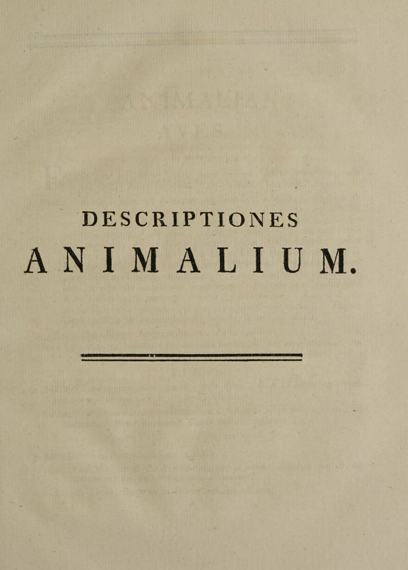 DESCRIPTIONES ANIMALIUM.