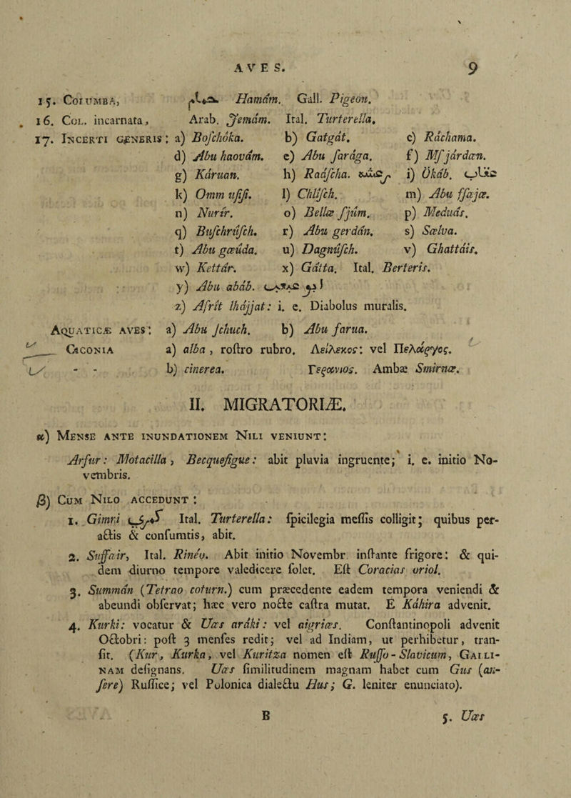 Hamam. Gall. Pigeon. 15. CoruMBA, 16. Col. incarnata, Arab. Jemdm. Ital. Turterella, 17. Incerti generis; a) Bofchoka. b) Gatgdt. Aquaticas aves : GiCONIA iy c) Rdchama. e) y^w faraga. f) Mfjdrdccn. h) Radfcha. i) Okdb. c_)Utc 1) Chlifch. ni) Abu ffajce. o) Belles fjum. p) Meduas. r) Abu gerddn. s) Scelva. u) Dagnufch. v) Ghattdis. x) Gdtta. Ital. B er teris. y) J 2) y^Tnlf Ihdjjat: i. e. Diabolus muralis. a) y^z* Jchuch. b) y^£« fama. a) , roltro rubro. AelKsv.es'. vel HeKoc^yog. b) cinerea. Teg&vios. Ambae Smirnae. II. MIGRATORLE. d) Abu haovdm. g) Kdruan. k) Omm ujiji. n) Nurtr. q) Bufchriifch, t) Abu gcedda. w) Kettdr. st) Mense ante inundationem Nili veniunt: Arfiir: Motacilla i Becquefgue: abit pluvia ingruente; i. e. initio No¬ vembris. /3) Cum Nilo accedunt : 1. Gimr.i LjytS Ital. Turterella: Ipicilegia meflis colligit * quibus per¬ actis & confumtis, abit. 2. Snffair, Ital. Rine'u. Abit initio Novembr initante frigore: & qui¬ dem diurno tempore valedicere folet. Eli Coracias vriol. 5. Summdn (Tetrao cotum.) cum prascedente eadem tempora veniendi & abeundi obfervat; hzec vero no£te caltra mutat. E Kdhira advenit. 4. Kurki: vocatur & Uas ardki: vel aigrtces. Conftantinopoli advenit OCtobri: poli 3 menfes redit; vel ad Indiam, ut perhibetur, tran- {it. (Kur, Kurka, vel Kuritza nomen elt Rujjb- Slavicum, Gai li¬ nam delignans. Uas fimilitudinem magnam habet cum Gus (cui- fere) Ruflice; vel Polonica dialeCtu Hus; G. leniter enunciato). B 5. Uces