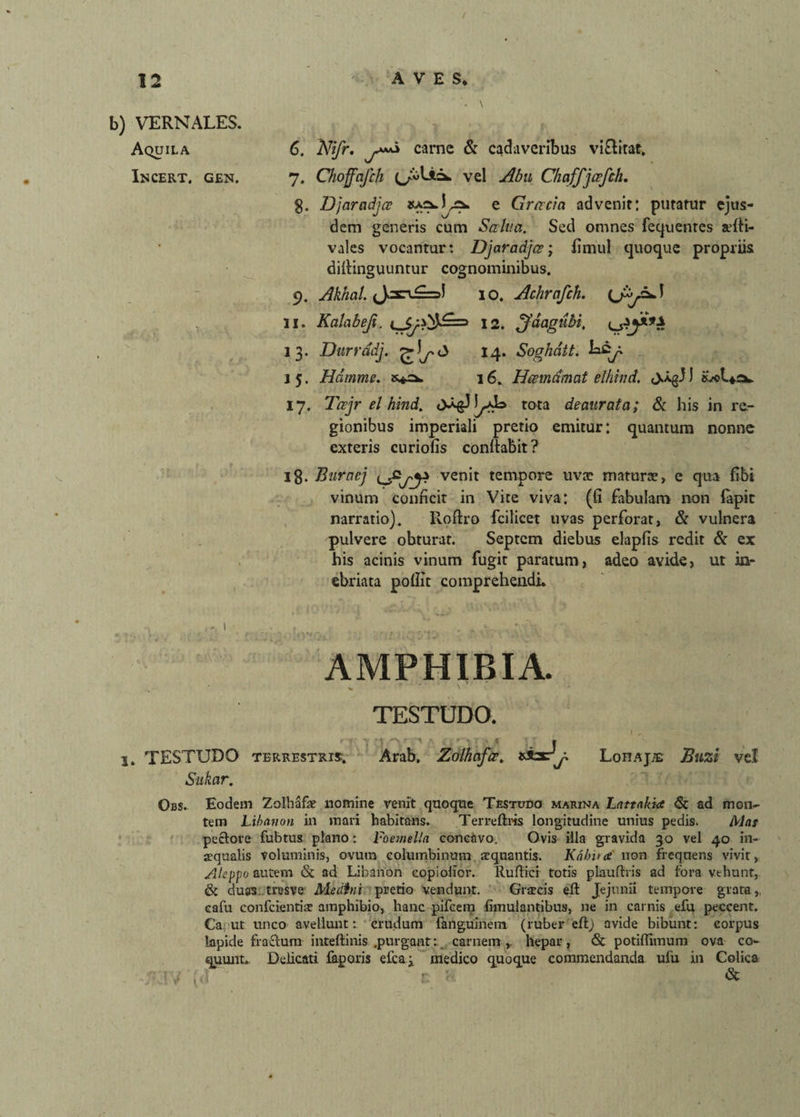 ( 12 b) VERNALES. Aquila Incert. gen. AVES* 6. Nifr. ywwi carne & cadaveribus vi&itat, 7. Choffafch vel Abu Chaffjafch. 8. Djaradjcc e Grcvcia advenit: putatur ejus¬ dem generis cum Salva. Sed omnes fequenres a?fti- vales vocantur: Djaradja; fimul quoque propriis dillinguuntur cognominibus. 9. Akhal. 10. Achrafch. 31. Kalabeji. 12. Jaagubi, 13. Durrddj. 14. Soghdtt. 15. Hdmme. 16. Hamdmat elhtnd. DAgJ) K/ot^sx. 17. Tajr el hind. rota deaurata; & his in re¬ gionibus imperiali pretio emitur*, quantum nonne exteris curiolis conllabit? 18. Buraej yjs venit tempore uvre maturae» e qua fibi vinum conficit in Vite viva: (fi fabulam non lapit narratio). Roftro fcilicet uvas perforat, & vulnera pulvere obturat. Septem diebus elapfis redit & ex his acinis vinum fugit paratum, adeo avide, ut in¬ ebriata poliit comprehendi. . - 1 AMPHIBIA. • ' \ TESTUDO. 1 „ [. TESTUDO terrestris. Arab, Zolhafa. »sbcLohajte Buzi vel Siikar. Obs. Eodem Zolhafe nomine venit quoque Testudo marina Lattakia & ad mon¬ tem Libonoti in mari habitans. Ter reftris longitudine unius pedis. Maj pectore fubtus plano: Foemella concavo. Ovis illa gravida 30 vel 40 in¬ aequalis voluminis, ovum columbinum aequantis. Kahuce non frequens vivit, Aleppo autern <St ad Libanon copiolior. Rufiici totis pia ultris ad fora vthunt, & duas.tresve Meritni pretio vendunt. Grarcis efl Jejunii tempore grata, cafu confcientiae amphibio, hanc pifcera fimulantibus, ne in carnis efu peccent. Caput unco avellunt: crudum fanguinem (ruber efl; avide bibunt: corpus lapide fractum inteflinis .purgant: carnem,, hepar, «St potiffimum ova co¬ quunt. Delicati faporis efcax medico quoque commendanda ufu in Colica ■ •: j ;'Vi : ’ • <St