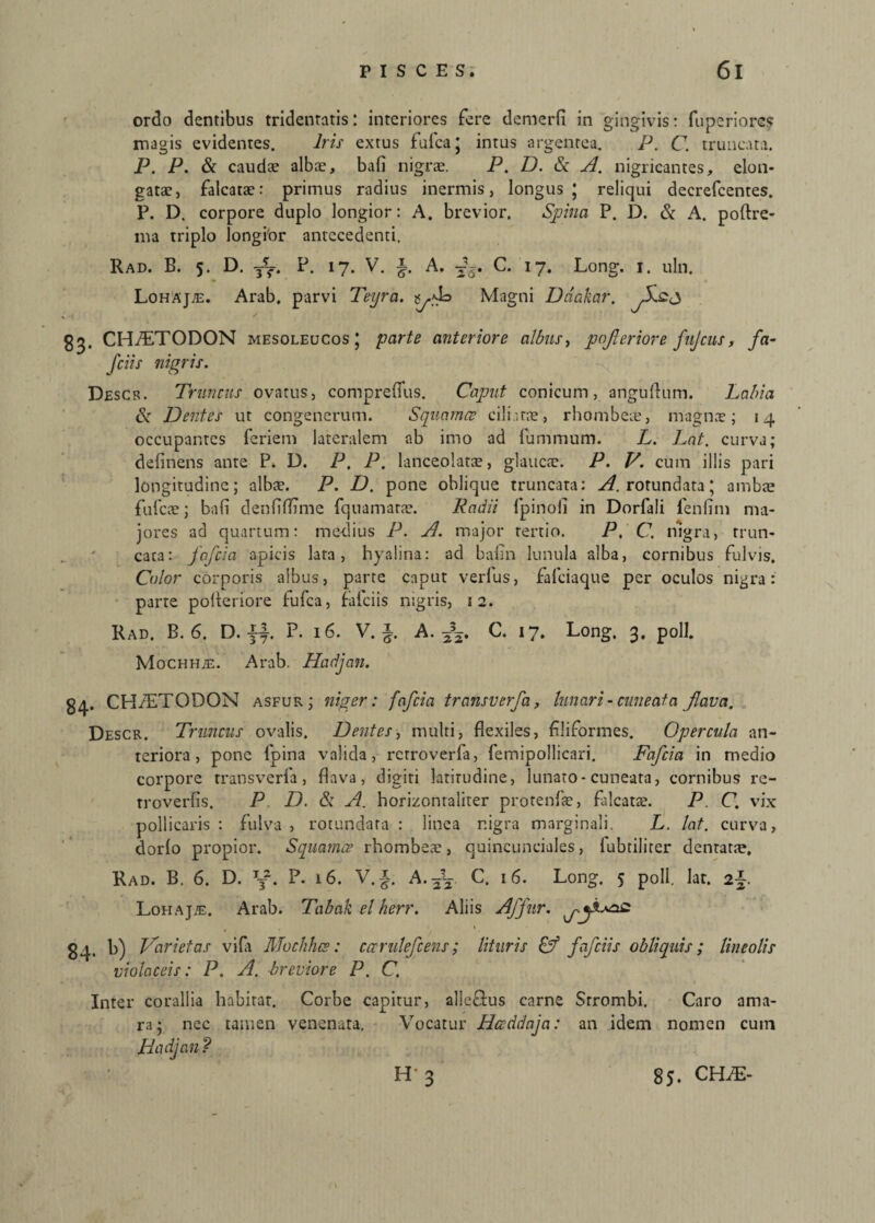 ordo dentibus tridenratis: interiores fere demerfi in gingivis: fuperiores magis evidentes. Iris extus fufca; intus argentea. P. C. truncata. P. P. & caudae albae, bafi nigrae. P. D. & A. nigricantes, elon- gatae, falcatae: primus radius inermis, longus; reliqui decrefcentes. P. D. corpore duplo longior: A. brevior. Spina P. D. & A. poftre- nia triplo longi'or antecedenti. Rad. B. 5. D. fT. P. 17. V. i A. C. 17. Long. 1. uln. Lohaj^s. Arab. parvi Teyra. Magni Driakar. gg. CHiETODON mesoleucos ; parte anteriore albus, poferiore fnjcus, fa- fciis nigris. Descr. Truncus ovatus, comprefius. Caput conicum, anguftum. Labia & Dentes ut congenerum. Squamee ciliatae, rhombeae, magnae; 14 occupantes feriem lateralem ab imo ad fummum. L. Lat. curva; delinens ante P. D. P, P. lanceolatae, glaucae. P. V. cum illis pari longitudine; albae. P. D. pone oblique truncata: ^.rotundata; ambae fufeae; bali denlifiime fquamatae. Radii fpinoli in Dorfali fenfini ma¬ jores ad quartum: medius P. A. major tertio. P. C. nigra, trun¬ cata: fqfcia apicis lata, hyalina: ad baiin lunula alba, cornibus fulvis. Color corporis albus, parte caput verius, fafeiaque per oculos nigra: parte pofteriore tufea, fafciis nigris, i 2. Rad. B. 6. D. jf. P. 16. V. A. 535. C. 17. Long. 3, poli. Mochhje. Arab. Hadjan. 34. CHfETODON asfur; niger: fafeia transverfa, lunari - cuneat a flava. Descr. Truncus ovalis. Dentes, multi, flexiles, filiformes. Opercula an¬ teriora, pone fpina valida, retroverfa, femipollicari. Fafeia in medio corpore transverfa, flava, digiti latitudine, lunato-cuneata, cornibus re- troverlis. P D. & A. horizonraliter protenfae, falcatae. P. C. vix pollicaris : fulva , rotundata : linea nigra marginali. L. lat. curva, dorlo propior. Squamee rhombeae, quincunciaies, fubtiliter dentatae. Rad. B. 6. D. tt2. P. 16. V.|. A. C. 16. Long. 5 poli. lar. 2%. Lohaj/e. Arab. Tabak el herr. Aliis Affur. 84. b) Varietas vila Mochhcs: ccerutefcens; lituris C? fafciis obliquis; lineolis violaceis: P. A. breviore P. C. Inter corallia habitat. Corbe capitur, alleffcus carne Srrombi. Caro ama¬ ra; nec tamen venenata. Vocatur Hccddaja: an idem nomen cuin Hadjan ? H' 3 85. CHJE-