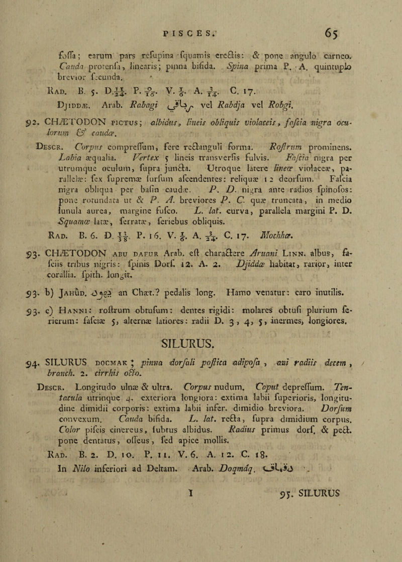 fo fia; earum pars refupina -fquamis ercflis: & pone angulo carneo. Cauda prorenfa, linearis; pinna bifida. Spina prima P. A. quincuplo brevior fecunda. 11 ad.. B. 5. D.||. P. fs. Dj 1 d d m. Ar ab. R ab agi V. §. A. 7's. C. 17. z' vel Rabdja vel Robgi. $2. CH/ETODON pictus; albidus, lineis obliquis violaceis, fafeia nigra ocu¬ lorum Cf caudee. Descr. Corpus comprefTum, fere rcflanguli forma. Rqftrum prominens. Labia aequalia. Vertex $ lineis transverlis fulvis. Fafeia nigra per urrumque oculum, fupra junfla. Utroque latere lineoe violacea;, pa¬ rallela?: fex fu premas lurfum afeendentes: reliqua; 12 deorfum. Fafeia nigra obliqua per bafin caud.e. P. D. nigra ante radios fpinofos: pone rotundata ut & P. A. breviores P. C. qua; truncata, in medio lunula aurea, margine fufeo. L. -lat. curva, parallela margini P. D. Squamee latae, ferratae, feriebus obliquis. Rad. B. 6. D. i|-. P. 16. V. A. C. 17. Mochhce. 93. CHiFTODON abu dafur Arab. eft chara&ere Amani Linn. albus, fa¬ lci is tribus nigris: fpinis Dorii i2. A. 2. Djiddae habitat, rarior, inter corallia, lpith. lon0ir. 53. b) Jahud. <3^ an Chaet.? pedalis long. Hamo venatur: caro inutilis. 93. c) Hamni: roftrum obrufum: dentes rigidi: molares obtuli plurium fe- rierum: fafeia; 5, alternae latiores: radii D. 3, 4, 5, inermes, iongiores. SILURUS. 94. SILURUS docmak * pinna dorfali poJUca adipofa , ani radiis decem , / branch. 2. cirrhis 0B0. Descr. Longitudo ulnae & ultra. Corpus nudum. 'Caput deprelTum. Ten- tacula utrioque 4, exteriora longiora: extima labii fuperioris, longitu¬ dine dimidii corporis: extima labii infer, dimidio breviora. Dorfum convexum. Cauda bifida. L. lat. refla, lupra dimidium corpus. Color pifcis cinereus, lubrus albidus. Radius primus dorf, & pefl. pone dentatus, olfeus, fed apice mollis. Rad. B. 2. D. 10. P. 11. V. 6. A. 12. C. 18. In Nilo inferiori ad Deltam, Arab. Doqmaq. \. \ I 95. SILURUS