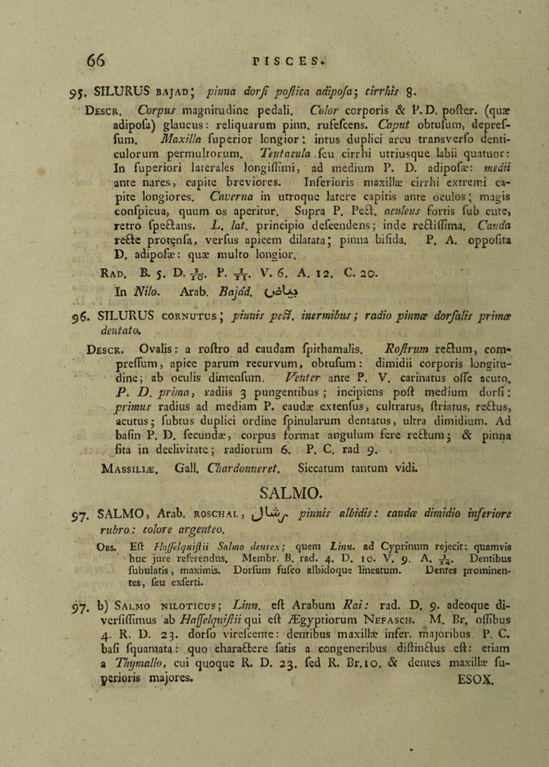 95, SILURUS bajad * pinna dorji pojlica adipoja • cirrhts g. Descr. Corpus magnitudine pedali. Celor corporis & P. D. pofler. (quae adipofa) glaucus: reliquarum pinn. rufefcens. Caput obtufum, depref- fum. Maxilla fuperior longior: intus duplici arcu transverfo denti¬ culorum permultorum. Tentacula ,fcu cirrhi utriusque labii quatuor: In fuperiori laterales longiflimi, ad medium P. D. adipofa.1: medii ante nares, capite breviores. Inferioris maxillae cirrhi extremi ca¬ pite longiores. Caverna in utroque latere capitis ante oculos; magis confpicua, quum os aperitur. Supra P. Pe£l. aculeus fortis fub cute, retro fpeffcans. L, lat. principio defeendens; inde re&iffma, Cauda re&e protqnfa, verfus apicem dilatata* pinna bifida. P. A. oppofira D. adipofa?: qua? multo longior. Rad. B. 5. D. P. ttt. V. 6. A. 12. C. 20. In Nilo. Arab. Bajad, 96, SILURUS cornutus* pinnis pedi, inermibus; radio pinnae dorfalis primee dentato. Desck. Ovalis: a roflro ad caudam fpirhamalis. Rojlrum retium, com» preflum, apice parum recurvum, obtufum: dimidii corporis longitu¬ dine; ab oculis dimenfum. Venter ante P. V. carinatus offe acuto. P. D, prima, radiis 3 pungentibus; incipiens pofl medium dorfi: primus radius ad mediam P. cauda? extenfus, cultratus, flriarus, reflus, acutus* fubrus duplici ordine fpinularum dentatus, ultra dimidium. Ad bafin P. D. fecundae, corpus format angulum fere reflumj & pinna fita in declivitate; radiorum 6. P. C. rad 9. Massilia. Gall. Chardonncret. Siccatum tantum vidi. SALMO» 97, SALMO, Arab. roschal, pinnis albidis: caudee dimidio inferiore rubro: colore argenteo. Obs. Efl Hnjjelqttiftii Salmo dentex; quem Linu. ad Cyprinum rejecit: quamvis huc jure referendus, Membr. B. rad. 4. D. 10. V. 9. A. -L. Dentibus fubuiatis, maximis. Dorfum fufeo albidoque lineatum. Dentes prominen¬ tes, feu exferti. 97. b) Salmo niloticus; Linn. efl Arabum Rai: rad. D. 9. adeoque di- verfiffimus ab Haffelquifiii qui efl iEgyptiorum Nefasch. M. Br. otfibus 4. R. D. 23. dorfo virelcente: dentibus maxilla? infer, majoribus. P. C. bafi fquamata: quo charaflere fatis a congeneribus diflinflus efl: etiam a Thymallo, cui quoque R. D. 23. fed R. Br. 10. & dentes maxilla? fu- perioris majores. ESOX.