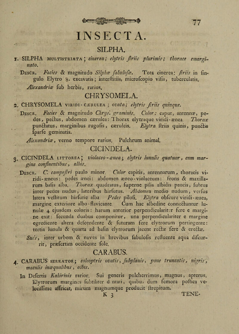 INSECTA. SILPHA. 1. SILPHA multistriata * cinerea; elytris Jlriis plurimis; thorace emargi¬ nato. Descr. Facies & magnitudo SiIphce fabulofiv. Tota cinerea: Jlriis in Un¬ gulo Elytro 'rf. excavatis; interftitiis, microfcopio vifis, tuberculatis. Alexandrice fub herbis, rarius. CHRYSOMELA. 2. CHRYSOMELA viridi- CiERULEA ; ovata; elytris Jlriis quinque. Descr. Facies & magnitudo Chrys. graminis. Color: caput, antenna?, pe¬ des, pectus, abdomen caerulea: Thorax elytraque viridi-aenea. Thorax punctatus, marginibus rugofis, caeruleis. Elytra Uriis quinis, punflis fparfe geminatis. Alexandrice, verno tempore rarius. Pulchrum animal. CICINDELA. 5. CICINDELA littorea j violaceo -cenea ; elytris lunulis quatuor, cum mar¬ gine confluentibus, albis. Descr. C. campejlri paulo minor. Color capitis, antennarum, thoracis vi¬ ridi-aeneus: pedes aenei: abdomen aeneo -violaceum: frons & maxilla¬ rum bafis alba. Thorax quadratus, fuperne pilis albidis paucis, lubrus inter pedes nudus, lateribus hirfutus. Abdomen medio nudum , verfus latera veftitum hirfutie alba Pedes pilofi. Elytra obfcure viridi-aenea, margine exteriore albo-flavicante. Cum hac albedine conneftuntur lu¬ nulae 4 ejusdem coloris: harum anterior perpendicularit.-r fere e margi¬ ne exit: lecunda duabus componitur, una perpendiculariter e margine egrediente altera delcendente & futuram fere elytrorum pertingente: tertia lunula & quarta ad bafin elytrorum jacent refice fere & ereftse. Sues, inter urbem & naves in brevibus fabulofis refluente aqua difcur- rit, praeferam occidente fole. CARABUS. 4, CARABUS serrator; colcoptris ovatis, fubplanis, pone truncatis, nigris, maculis inaequalibus, albis. In Defertis Kahirinis rarior. Sui generis pulcherrimus, magnus, apterus. Elyrrorum margines fubtilirer d ntati, quibu, dum femora poflica ve- lociflime affricat, mirum magnumque producit Itrepicum.