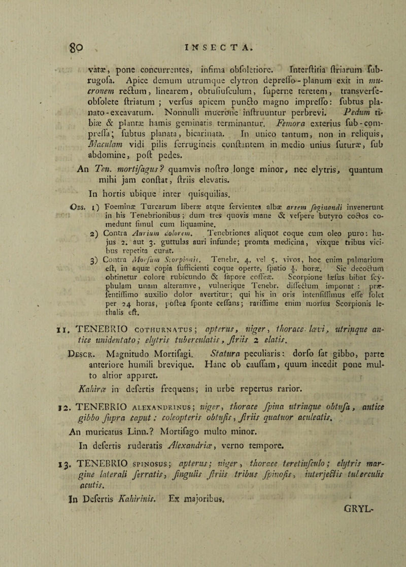 > vata?, pone concurrentes, infima obfoletiore. Interftiria flriarum fub- rugola. Apice demum utrumque elyrron deprello--planum exit in mu¬ cronem reftum, linearem, obtufiufculum, fuperne teretem, transverfe- obfolere ftriatum ; verius apicem punflo magno imprelfo: fubtus pk- nato- excavatum. Nonnulli mucrone inftruuntur perbrevi. Pedum ti¬ biae & plantae hamis geminatis terminantur. Femora exterius fub-com- prefia; fubtus planata, bicarinata. In unico tantum, non in reliquis, Maculam vidi pilis ferrugineis conflantem in medio unius futura', fub abdomine, poft pedes. An Ten. mortifagus? quamvis noftro .longe minor, nec elytris, quantum mihi jam conflat, ftriis elevatis. In hortis ubique inter quisquilias. Obs. i) Foemina? Turearum libera? atque fervientes albse artem faginnndi invenerunt in his Tenebrionibus; dum tres quovis mane & vefpere butyro coelos co¬ medunt fimul cum liquamine. 2) Contra Aurium dolorem. Tenebriones aliquot coque cum oleo puro: hu¬ jus 2. aut 3. guttulas auri infunde; promta medicina, vixque tribus vici¬ bus repetita curat. 3) Contra Morfum Scorpioni!. Tenebr. 4. vel 5. vivos, hoc enim palmarium elt, in aqua? copia fufficienti coque operte, fpatio i. horae. Sic decoclum obtinetur colore rubicundo & fapore cofFea?. Scorpione laefus bibat fcy- phulam unam alteramve, vulnerique Tenebr. dideclum imponat : prar- fentiffimo auxilio dolor avertitur; qui his in oris intenliffimus efle folet per 24 horas, poftea fponte ceflans; rariffime enim morius Scorpionis le- thalis eft, 11. TENEBRIO cothurnatus; apterus, niger-, thorace Icevi, utrinque an¬ tice unidentato; ehjtris tuber culatis, Jlriis 2 elatis. Descr. Magnitudo Mortifagi. Statura peculiaris: dorfo far gibbo, parte anteriore humili brevique. Hanc ob cauflam, quum incedit pone mul¬ to altior apparet. Kahirce in defertis frequens; in urbe repertus rarior. 12. TENEBRIO Alexandrinus ; niger-, thorace fpina utrinque obtvfa, antice gibbo fupra caput; coleopteris obtufis, Jlriis quatitor aculeatis. An muricatus Linn.? Mortifago multo minor. In defertis ruderatis Alexandrice, verno tempore. 13. TENEBRIO spinosus; apterus; niger, thorace teretiufcnlo; ehjtris mar¬ gine laterali ferratis, fmgulis Jlriis tribus fpinojis-, interjectis tui er culis acutis. Jn Defertis Kahirinis. Ex majoribus. 1 GRYL-