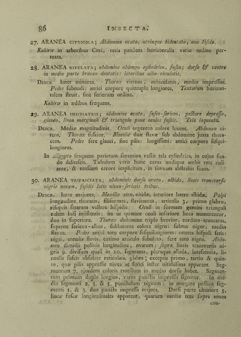 27. ARANEA citrtcoi.a; Abdomine ovato, utrinque bidentato, bifide. Kahiroe in arboribus Cirri, retia pandens horizontalia vario ordine per¬ texta. 28. ARANEA rivulata; abdomine oblongo cylindrico, fufco; dorfo & ventre in media parte bruneo ■ dentatis: lateribus albo-rivulatis. Descr Inter minores. Thorax vitreus, orbiculatus, medio imprcflus. Pedes fubnudi: antici corpore quintuplo longiores. Texturam horizon¬ talem ftruir, line ferierum ordine. Kaliirce in ocdibus frequens. 29. ARANEA insidiatrix; abdomine ovato, fufco-fericeo; pectore depreffo, glauco, linea marginali & triangulo pone oculos fitfcis. Tela laqueata. Descr. Mediae magnitudinis. Oculi argenteo colore lucent. Abdomen ni¬ tens. Thorax fufeior, Maculce duae flavae lub abdomine juxta thora¬ cem. Pedes fere glauci, fine pilis: longiflimi: antici corpore fefqu.i- longiores. In jEgypto frequens parietum foramina veflit tela cylindrica, in cujus fun¬ do delitefcir. Tubulum vero hunc extus undique ambit rete radi¬ ante, & mufeam errore implicitam, in foveam abflrahit luam. 30. ARANEA trifasciata; abdominis dorfo ovato, albido, lineis transverfis nigris novem, fafeiis latis niveo -fericeis tribus. Descr. Inter majores. Maxilla’ atrae, nitidat, interiore latere albidae. Palpi longitudine thoracis, filiformes, flavicantes, articulis 3, primo glabro, reliquis fetarum vellere hifpidis. Oculi in formam gemini trianguli eidem bali infiftentis; ita ut quatuor oculi inferiore linea numerentur, duo in fuperiore. Thorax abdomine triplo brevior, cordato-truncatus, fuperne fericeo - albus, fublucenre colore nigro: lubtus niger, medio flavus. Pedes antici toto corpore fefquilongiores: omnes hifpidi fetis: nigri, annulis flavis, extimo articulo fubulato, fere toto nigro. Abdo¬ men dimidii pollicis longitudine, ovatum ; fupra lineis transverfis ni¬ gris 9. divifum quafi in 10. fegmenta, pleraque albida, lutefeentia, li¬ neolis fulcis obfolere reticulata, glabra * exceptis primo , tertio & quin¬ to , quae pilis appreflis nivea ac ferici inftar nitidiffima apparent. Seg¬ mentum 7. ejusdem coloris tantillum in medio dorfo habet. Segmen¬ tum primum duplo longius, variis punftis imprelfis fignatur. In me¬ dio fegmenti 2. 3. & $. punctulum nigrum : in margine poflico feg- menti 1, & 3. duo punfta imprefla majora. Dorfi parte ulteriore 5. linet' fufeae longitudinales apparent, quarum mediae tres fupra anum cou-