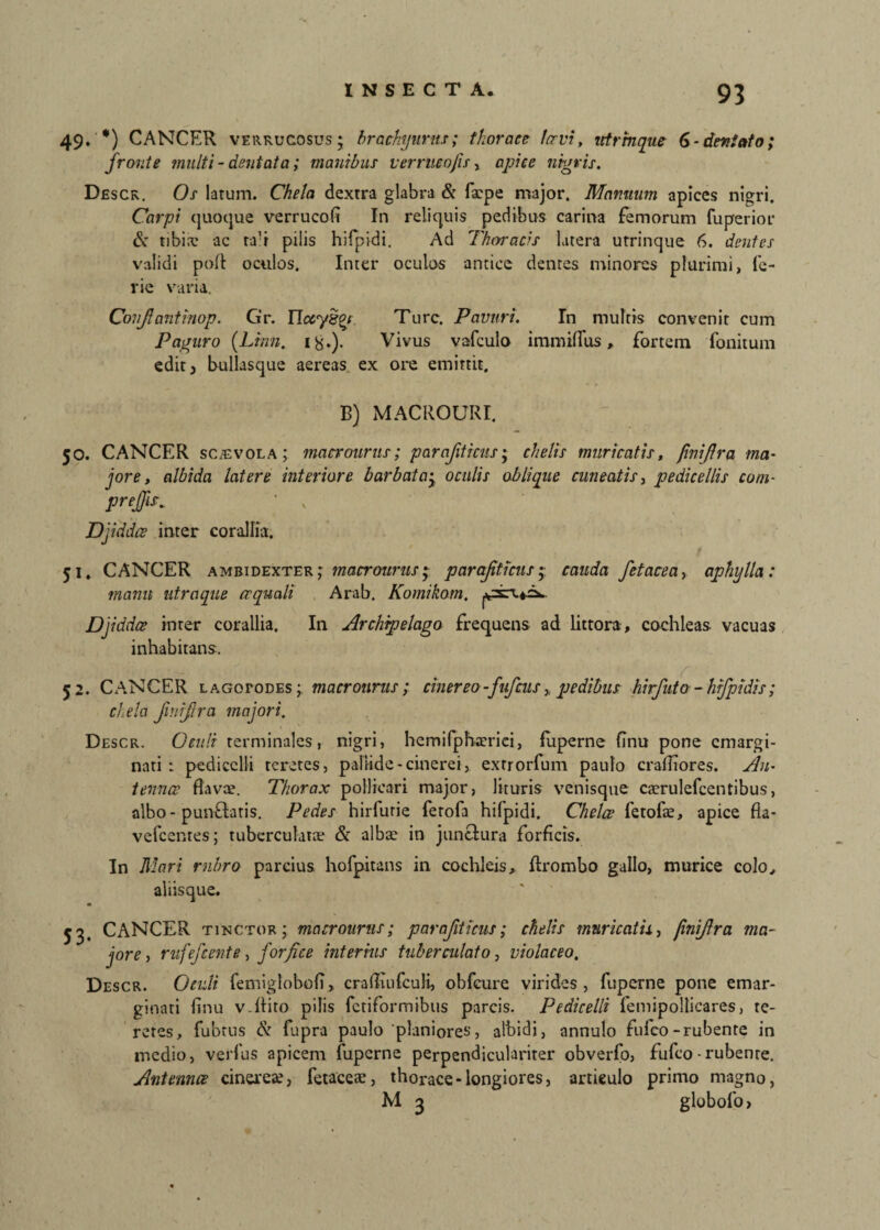 49. *) CANCER verrucosus; brachyitrus; thorace fervi, utrmque 6-dentato; fronte multi - dentata; manibus verrucofis > apice nigris. Descr. Os latum. Chela dextra glabra & fa?pe major. Mnnmim apices nigri. Carpi quoque verrucofi In reliquis pedibus carina femorum fuperior & tibia? ac ta’r pilis hifpidi. Ad Thoracis latera utrinque 6. dentes validi poli oculos. Inter oculos antice dentes minores plurimi, lc- vie varia. Conjlantinop. Gr. Thzy&oi Ture. Pavuri. Tn multis convenit cum Paguro [Limi, 1 g.). Vivus vafculo immiflus, fortem fonitum edit, buliasque aereas ex ore emittit. B) MACROURI. 50. CANCER sCiEvoLA; macroitrus; parajiticus; chelis muricatis, ('ni/Jra ma¬ jore, albida latere interiore barbata; oculis oblique cuneatis, pedicellis com- pr effis. • v Djiddce inter corallia. '_ 1 ' t 51. CANCER ambidexter ; macrouriis; parajiticus; cauda fetacea, aphylla : manu utraque ecquali Arab. Komikom. Djiddce inter corallia. In Archrpelago frequens ad littora, cochleas, vacuas inhabitans. 52. CANCER lagofodes; macronrus; cinereo-fufeuspedibus hirfuto - hifpidis; chela fv.iifira majori. Descr. Oculi terminales, nigri, hemifphamci, luperne (Inu pone cmargi- nati : pedicclli teretes, pallide-cinerei, exrrorfum paulo crafiiores. An¬ tennae flava?. Thorax pollicari major, lituris venisque cacrulefcentibus, albo- punftaris. Pedes hirfutie ferofa hifpidi. Chelae fetofa?, apice fia- vefcentes; tuberculata? & alba? in junctura forficis. In Mari rubro parcius hofpitans in cochleis, flrombo gallo, murice colo, aliisque. 53. CANCER tinctor ; macrouriis; parajiticus; chelis muricatis, finijlra ma¬ jore, rufefeente, forfice interius tuber culato, violaceo. Descr. Oculi femigloboli„ crafiuifculi, obfcure virides, fuperne pone emar¬ ginari finu v.llito pilis fetiformibus parcis. Pedicelli femipollicares, te¬ retes, fubtus & fupra paulo planiores, albidi, annulo fufeo-rubente in medio, verfus apicem fuperne perpendiculariter obverfo, fufeo -rubenre. Antennae cinerea, fetaceae, thorace-longiores, artieulo primo magno, M 3 globofo.
