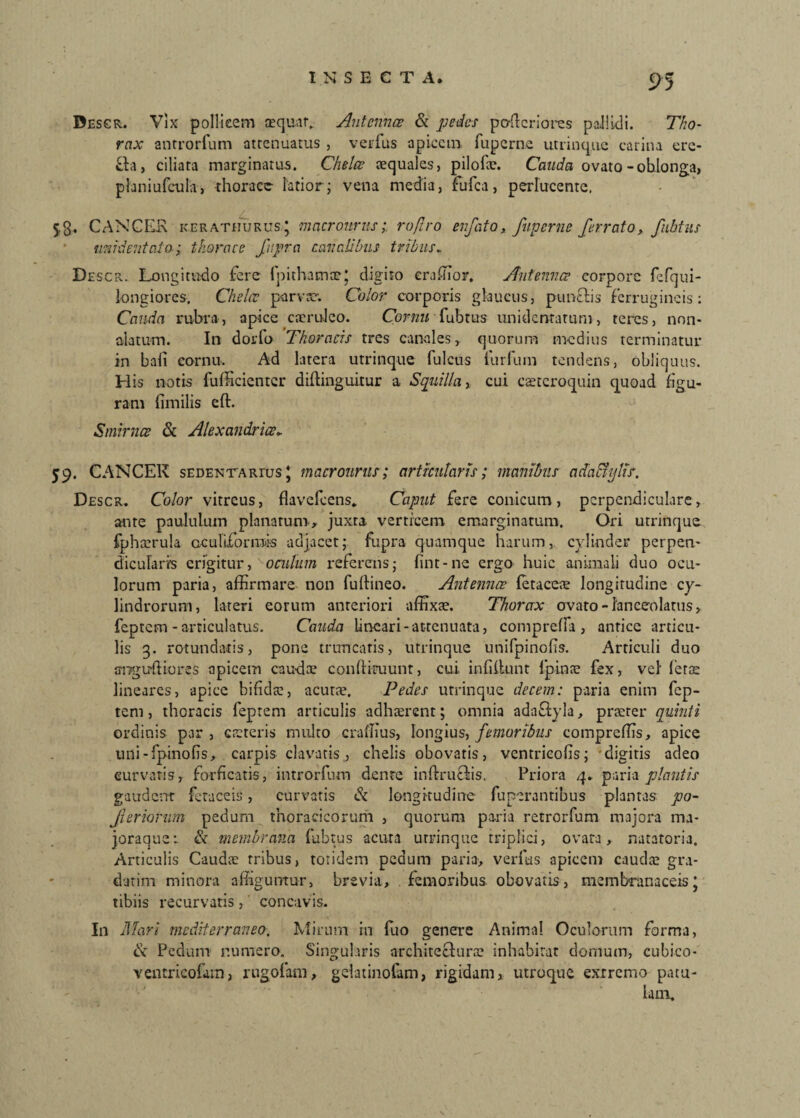 Descr. Vix pollicem sequar» Antenna & pedes podcriores pallidi. Tho¬ rax anrrorfum attenuatus , verfus apicem rupernc utrinque carina ere- ih\y ciliata marginatus. Chelce aequales, pilofae. Cauda ovato -obtlonga, planiufcula, thorace latior; vena media, fufea, perlucente. / CANCER ker atiiurus * macronrusro/lro enfato, fuperne ferrato, fubtus midentaia■; thorace fupra cavalibus tribus. Descr. Longitudo fere Ipithamae* digito craffior, Antenna? corpore fcfqui- longiores. Chelae parva?; Color corporis glaucus, puntlis ferrugineis: Cauda rubra, apice caeruleo. Cornu fubtus unidemamm, teres, nnn- alatum. In dorlo Thoracis tres canalesr quorum medius terminatur in bali cornu. Ad latera utrinque fulcus furfum tendens, obliquus. His notis fufficientcr diftinguitur a Squilla* cui eseteroquin quoad figu¬ ram fimilis eft. Smimae & Alexandrine. 59. CANCER sEDENTARrus \ macronrus; articularis; manibus a dactylis. Descr. Color vitreus, flavefeens. Caput fere conicum, perpendiculare, ante paululum planarum, juxta verticem emarginatum. Ori utrinque fphaerula Gcullformis adjacet; fupra quamque harum, cvlinder perpen¬ dicularis erigitur, oculum referens; fint-ne ergo huic animali duo ocu¬ lorum paria, affirmare non fuftineo. Antennae fetaceie longitudine cy¬ lindrorum, lateri eorum anteriori affixae. Thorax ovato -fanceolatus, feptem -articulatus. Cauda lineari-attenuata, comprefla , antice articu¬ lis 3. rotundatis, pone truncaris, utrinque unifpinofs. Articuli duo angufti-ores apicem cauda? condituum, cui. infiilunt fpinae fex, vel' leta? lineares, apice bifida?, acuta?. Pedes utrinque decem: paria enim fep¬ tem, thoracis feptem articulis adhaerent; omnia adaftyla, praeter quinti ordinis par, caeteris multo craffius, longius, femoribus compreffis, apice uni-fpinofis, carpis clavatis, chelis obovatis, ventricolis; digitis adeo curvatis, forficatis, introrfum denre indru&is. Priora 4. paria plantis gaudent fetaceis, curvatis & longitudine funerantibus plantas po- fieriorum pedum thoracicorum , quorum paria retrorfum majora nu- joraque.; & membrana fubtus acuta utrinque triplici, ovata, natatoria. Articulis Caudae tribus, totidem pedum paria, verfus apicem cauda? gra- ctatim minora affiguntur, brevia, femoribus, obovatis, membranaceisJ tibiis recurvatis, concavis. In Mari mediterraneo. Mirum in fuo senere Anima! Oculorum forma, & Pedum numero. Singularis architeclura? inhabitat domum, cubico- ventrieofarn, rugofam, gelatinofam, rigidam, utroque extremo patu¬ lam.