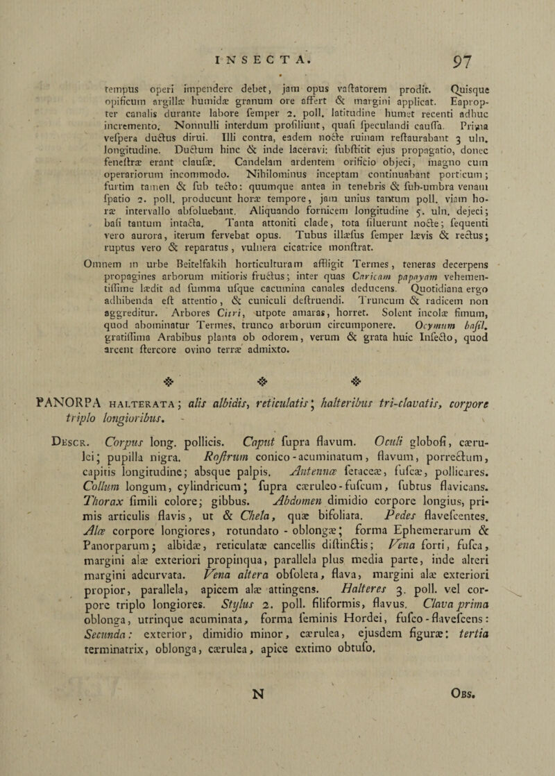 tempus operi impendere debet, jam opus va flatorem prodit. Quisque opificum argilla? bumida? granum ore offert <5t margini applicat. Eaprop¬ ter canalis durante labore femper 2. poli, latitudine humet recenti adhuc incremento. Nonnulli interdum profiliunt, quafi fpeculandi cauffa. Prilia vefpera duefus dirui. Illi contra, eadem nocte ruinam reftaurabant 3 uln. longitudine. Ductum hinc & inde laceravi: fubftitit ejus propagatio, donec fendtra? erant claufa?. Candelam ardentem orificio objeci, magno cum operariorum incommodo. Nihilominus inceptam continuabant porticum; furtim tamen (St fub tecto: quumque antea in tenebris & fub-umbra venam fpatio 2. poli, producunt hora? tempore, jam unius tantum poli, viam ho- ra? intervallo abfoluebant. Aliquando fornicem longitudine 5. uln. dejeci; bafi tantum intacta. Tanta attoniti clade, tota Eluerunt nocte; fequenti vero aurora, iterum fervebat opus. Tubus ilkefus femper laevis & rectus; ruptus vero & reparatus, vulnera cicatrice monftrat. Omnem in urbe Beitelfakih horticulturam affligit Termes, teneras decerpens propagines arborum mitioris fructus; inter quas Caricam papnynm vehemen- tiffiine laedit ad fumma ufque cacumina canales deducens. Quotidiana ergo adhibenda eft attentio, & cuniculi deftruendi. Truncum radicem non aggreditur. Arbores Citri, utpote amaras, horret. Solent incolae fimum, quod abominatur Termes, trunco arborum circumponere. Ocymum bnjil. gratilTima Arabibus planta ob odorem, verum & grata huic Infecto, quod arcem flercore ovino terrae admixto. PANORPA h ai.ter at a ; alis albidis, reticulatis ; halteribus tri-clauatis, corpore triplo longioribus. - \ Descr. Corpus long. pollicis. Caput fupra flavum. Oculi globofi, caeru¬ lei; pupilla nigra. Rojlrum conico-acuminatum , flavum, porrectum, capitis longitudine; absque palpis. Antenna: feracerc, fufea?, pollicares. Collum longum, cylindricum; fupra caeruleo-fufcurn, fubrus flavicans. Thorax fimili colore; gibbus. Abdomen dimidio corpore longius, pri¬ mis articulis flavis, ut & Chela, quae bifoliara. Pedes flavelcentes. Ala corpore longiores, rotundaro - oblongae; forma Ephemerarum & Panorparum; albidae, reticulatae cancellis diftin&is; Vena forti, fufea, margini alae exteriori propinqua, parallela plus media parte, inde alteri margini adeurvata. Vena altera obfolera, flava, margini alae exteriori propior, parallela, apicem alae attingens. Halteres 3. poli, vel cor¬ pore triplo longiores. Stylus 2. poli, filiformis, flavus. Clava prima oblonga, utrinque acuminata, forma feminis Hordei, fufeo - flavefeens : Secunda: exterior, dimidio minor, caerulea, ejusdem figurae: tertia terminatrix, oblonga, caerulea, apice extimo obtufo. N Obs.