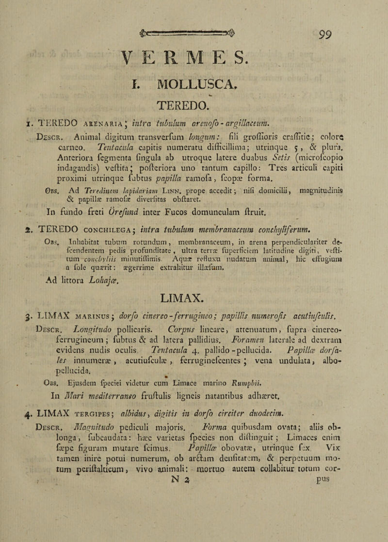 V E R M E S. I. MOLLUSCA. L W TEREDO. 1. TEREDO arenaria* intra tubulum arenofo-argillaceum. Descr. Animal digitum transverfum longum: fili groffioris eraditis; colore carneo. Tentacula capitis numeratu difficillima; utrinque 5 , & plura. Anteriora Tegmenta fingula ab utroque latere duabus Setis (microfcopio indagandis) veffita* pofieriora uno tantum capillo: Tres articuli capiti proximi utrinque fabtus papilla ramofa> fcopae forma. Oes. Ad Teredinem lapidariam Linn. prope accedit; nili domicilii, magnitudinis <Sc papilla: ramofa: diverlitas obftaret. In fundo freti Orefund inter Fucos domunculam ftruit. 2. TEREDO conchilega; intra tubulum membranaceum conchijlferum. Obs. Inhabitat tubum rotundum, membranaceum, in arena perpendiculariter de- fcendentem pedis profunditate, ultra terra: fuperficiem latitudine digiti, vefti- tum conchyliis minutiffimis. Aqua: refluxu nudatum animal, hic effugium a fole quarit: aegerrime extrahitur illaefum. • / Ad littora Lohajce, LIMAX. 3. LIMAX marinus j dorfo cinereo-ferrugineo; papillis numerofs acutiufculis. Desck. Longitudo pollicaris. Corpus lineare, attenuatum, fupra cinereo- ferrugineum ; fubtus & ad latera pallidius. Foramen laterale ad dextram evidens nudis oculis. Tent acula 4. pallido-pellucida. Papillcs dor/a- les innumerae , acutiufculae , ferruginelcentes * vena undulata, albo- pellucida. m Obs. Ejusdem fpeciei videtur cum Limace marino Rumpbii, In Mari mediterraneo fruftulis ligneis natantibus adhaeret. 4. LIMAX tergipes; albidus, digitis in dorfo circiter duodecim. Descr. Magnitudo pediculi majoris. Forma quibusdam ovata; aliis ob¬ longa, fubcaudara: haec varietas fpecies non diffinguit; Limaces enim Tepe figuram murare fcimus. Papillae obovatae, utrinque fex Vix tamen inire potui numerum, ob arftam denfitatem, & perpetuum mo¬ tum periftalticum, vivo animali: mortuo autem collabitur totum cor- N % pus