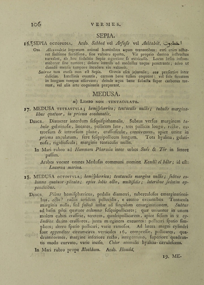SEPIA* 16.^ SEPI A octopodia, Arab. Sebbed vel Arfufis vel Actitabat. O^JacU Obs. Alexandri# ingratum animal hominibus aquas tranantibus: cuti enim adha?- ret fuclione fortilfima, fine vulnere aperto. Vir proprio damno inflruclus narrabat, ab hoc 1'odalitio Sepia; aegerrime fe extricafie. Locus l-afus inflam¬ mabatur fine tumore; dolore intenfo ad medullas usque penetrante; adeo ut dimidii menfis tempore incedere vix valuerit. Stnima tam exola non eft Sepia. Graecis efca jejunalis; ova praefertim inter delicias. Inteflinis exemtis, carnem bene tufam coquunt: vel fole ficcctam in longum tempus afiervant; deinde aqua bene fubafta fuper carbones tor¬ rent, vel alia arte coquinaria praeparant. MEDUSA, a) Limbo non tentaculato. jj. MEDUSA tetrastyla; hemifplmrica; teniaculis nullis; tubulis margina- libus quatuor, in prisma coadunatis. Descr. Diameter interdum fefquifpithamalis. Subtus verfus marginem ta¬ buit? gelati no fa.', lineares, pollicem latae , tres pollices longa;, refla;, ex- trorfum & introrfum plaiix, cralliiilcula;, conniventes, apice unitae in prisma angulatum, fere fefquipollicem longum. Tota hyalina, gelati- nofa, rigidiufcula; marginis tentaculis nullis. In Mari rubro ad Hammam Pkaraun inter urbes Sues & Tdr in littore pallam. Arabes vocant omnes Medufas communi nomine Kandtl el bdhr; id eft: Lucerna marina. jg. MEDUSA octostyla ; hemifphtrrica; tentaculis margine nullis; fubtns co¬ lumna quatuor -plicata; apice lobis odio, multifidis; lateribus fedecim ap¬ pendicibus. Descr. Pileus hemifphaericus, pedalis diametri, tubercnlofus emarginationi- bus, oflo? radiis totidem pellucidis, e centro exeuntibus Tentacula marginis nulla, fed folioli inltar ad lingulam emarginarionem. Subtus ad balin pilei quatuor columnce fefquipollicares; qua? uniuntur in unam molem cubiti cralfitie, teretem, quadripollicarem, apice filiam in g. cy¬ lindros dieito craflidres, juxta marginem exeuntes: pollicari (patio lim- pliccs; altero fpatio pollicari, varie ramofos. Ad latera magni cylindri iu-nt appendices circumcirca verticales 16, comprefife, pollicares, qua- drantiformes, margine inferiore reflo, integerrimo, fuperiore quadran¬ tis modo curvato, varie incifo. Color animalis hyalino -caeruleicens. In Mari rubro prope Moehham. Arab. Liomad.