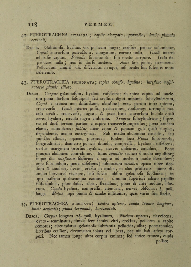 42. PTEROTRACHEA hyalina J capite elongato, porreBo, Icevr; pinnula ■centrali, Descr. Gelatinofa, hyalina, vix pollicem longa: craffitie penna? columbina?. Caput antrorfum porrc£tum, elongatum, corona nulla. Oculi interni ad bafin capitis. Pinnula fubrotunda: fub medio corpore. Gula de¬ pendens nulla * nec in dorfo nucleus. Anus fine pinna, attenuatus. Pellucidum animal vix difcernirur in aqua, nifi oculis luis fufcis & motu celerrimo. 43. PTEROTRACHEA pulmonata* capite obtvfo, hyalino: intejlino rejpi- ratorio plumis ciliato, Descr. Corpus gelatinofum, hyalino - rufefcens; ab apice capitis ad nucle¬ um pone dorlum fefquipoll. fed craffitie digiti minimi: fub cylindri cum. Caput a trunco non diliin&um, obtufum * ore, parum intra apicem , transverfo. Oculi interne politi, perlucentes; cenitantes urrincjue ma¬ cula ovali , transverfa, nigra , & juxta hanc antrorfum bullula quali aerea hyalina, circulo nigro ambiente. Truncus fubcylindricus \ fuper- ne ad dorfi tertiam partem a capite transverfe imprelfus; juxta caudam elatus, rotundatus: fubtus inter caput & pinnam gula quali duplici, dependente, medio emarginata. Sub medio abdomine maculis, feu pun&is albidis, opacis, plurimis; Eodem loco Pinna fubrotunda, longitudinalis, diametro pollicis dimidii, comprelfa , hyalino - rufefcens, verius marginem prorfus hyalina, nervis obfcuris, tenuibus. Pone pinnam abdomen contrahitur. Intus -cylinder trunco dimidio anguftior * inque illo intejlimm filiforme a capite ad nucleum cauda? flexuofum; ante fubalbidum, pone rufefcens* inlinuatum membro opaco inter dor- fum & caudam, ovato; erecto in multis, in aliis proltraro: pinna di¬ midio breviore* violaceo, bafi fufeo: oblito gelatinofa lubffimtia J in qua pulfatio qualiscunque cernitur : dimidio fuperiori ciliato papillis filiformibus, plumulolis, albis, flexilibus* pone & ante nudum, libe¬ rum. Cauda hyalina, comprelfa, attenuata, nervis obfcuris: i. poli, longa. Motus ope pinna? &c caudae inliituitur* quas vario litu Heftit. 44. PTEROTRACHEA aculeata* ventre apter0, cauda trunco longiore, lineis aculeatis; pinna terminali, horizontalu Descr. Corpus longum i\. poli, hyalinum. Nucleus - opacus, flavefeens, ovato - acuminatus, limilis fere femini citri, ereftus, pollicem a capite remotus* circumdatus gelatinofa fubftantia pellucida, alba* pone tenuior, lateribus craffior, circumcirca loluta vel libera, nec nili bafi affixa cor¬ pori. Nec tamen longe ultra corpus eminetj fed antice trunco, cauda poftice