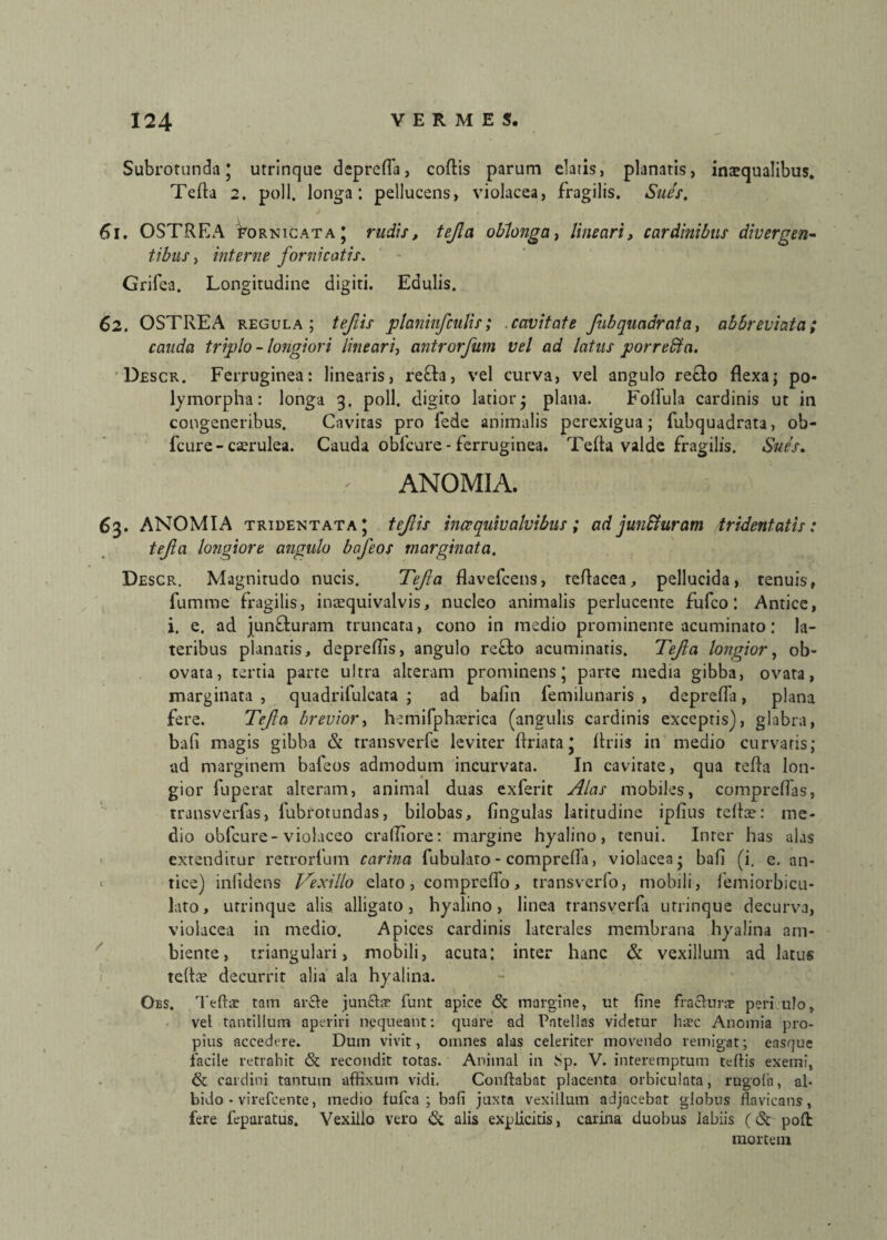 Subrotunda* urrinque deprefia, coftis parum datis, planatis, inaequalibus. Tefla 2. poli, longa: pellucens, violacea, fragilis. Sues, 61. OSTREA Fornicata * rudis, tejla oblonga, lineari, cardinibus divergen¬ tibus, interne fornicatis. Grifea. Longitudine digiti. Edulis. 62. OSTREA regula; teftis planiufculis; cavitate fubquadrata, abbreviato; cauda triplo - longiori lineari, antrorfum vel ad latus porredta. Descr. Ferruginea: linearis, re£la, vel curva, vel angulo re£to flexa; po¬ lymorpha: longa 3. poli, digito lacior3 plana. Follula cardinis ut in congeneribus. Cavitas pro fede animalis perexigua; fubquadrata, ob- fcure - caerulea. Cauda obicure - ferruginea. Tefla valde fragilis. Sues. ANOMIA. 63. ANOMIA tridentata * tejlis inccquivalvibus ; adjuncturam tridentatis: tejla longiore angulo bctfeos marginata. Descr. Magnitudo nucis. Tejla flavefcens, teflacea, pellucida, tenuis, fumme fragilis, inrequivalvis, nucleo animalis perlucente fufco: Antice, i. e. ad juncturam truncata, cono in medio prominente acuminato: la¬ teribus planatis, depreflls, angulo re&o acuminatis. Tejla longior, ob- ovata, tertia parte ultra alteram prominens’ parte media gibba, ovata, marginata , quadrifuleata ; ad bafin femilunaris , deprefla, plana fere. Tejla brevior, hemifphnerica (angulis cardinis exceptis), glabra, bali magis gibba & rransverfe leviter ftriata* flriis in medio curvatis; ad marginem bafeos admodum incurvata. In cavitate, qua tefla lon¬ gior fuperat alteram, animal duas exferit Alas mobiles, compreflas, transverfas, fubrotundas, bilobas, fingulas latitudine ipfius tefla?: me¬ dio obfcure- violaceo crafliore: margine hyalino, tenui. Inter has alas extenditur retrorfum carina fubulato- comprefla, violacea; bafi (i. e. an- 1 tice) inlidens Vexillo elato, compreffo, transverfo, mobili, femiorbicu- lato, urrinque alis alligato , hyalino, linea transverfa urrinque decurva, violacea in medio. Apices cardinis laterales membrana hyalina am¬ biente, triangulari, mobili, acuta: inter hanc & vexillum ad latus teflce decurrit alia ala hyalina. Oes, Teftae tam arcle juncta* funt apice & margine, ut fine fracturae peri ulo, vel tantillum aperiri nequeant: quare ad Patellas videtur haec Anomia pro¬ pius accedere. Dum vivit, omnes alas celeriter movendo remigat; easque facile retrahit & recondit totas. Animal in Sp. V. interemptum teftis exemi, & cardini tantum -affixum vidi. Conflabat placenta orbiculata, rugofa, al¬ bido - virefcente, medio fufca ; bafi juxta vexillum adjacebat globus flavicans, fere feparatus. Vexillo vero & alis explicitis, carina duobus labiis (& poflt mortem