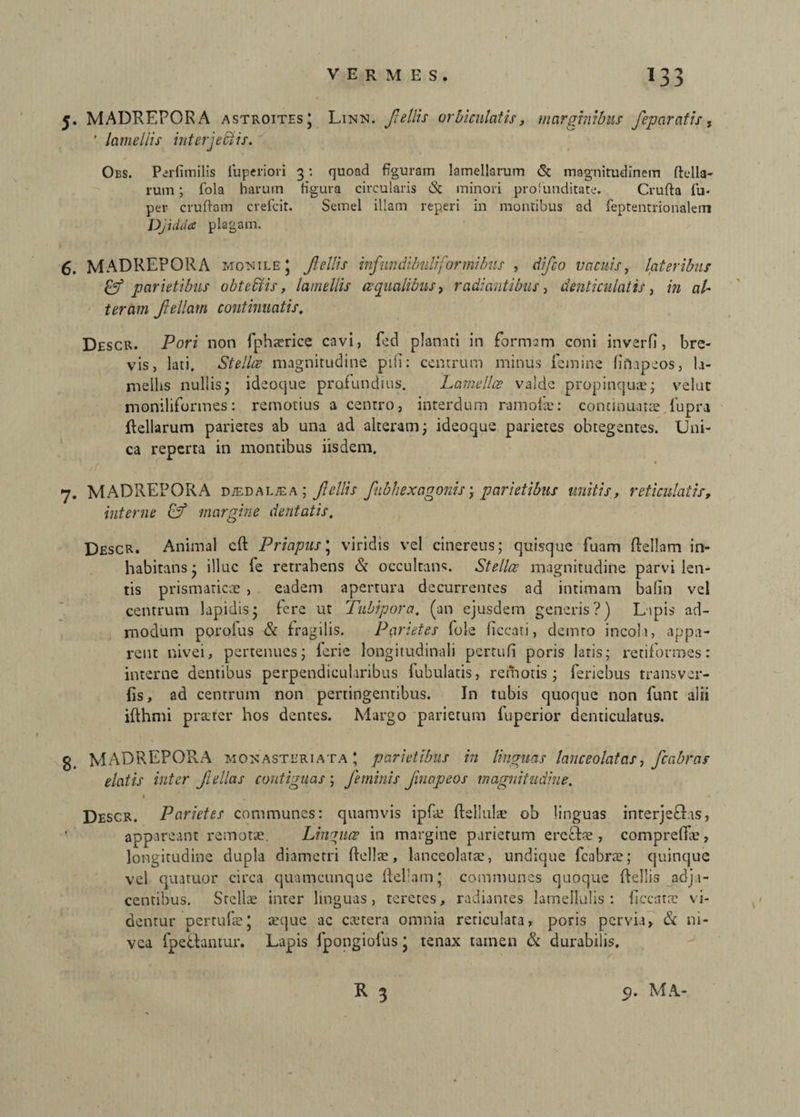 5. MADREPORA astroites; Linn. fellis orbiculatis, marginibus feparatis, ' lamellis interjectis. Obs. Parfimilis iuperiori 3: quoad figuram lamellarum & magnitudinem ftella- rum; fola harum figura circularis & minori profunditate. Crufta fu- per cruftam crefcit. Semel illam reperi in montibus ad feptentrionalem Djidaa plagam. 6. MADREPORA monile; Jlellis infundibuli] ormibus , difco vacuis, lateribus & parietibus obteblis, lamellis ecqualibus, radiantibus, denticulatis, in al¬ teram Jlellam continuatis. Descr. Pori non fphserice cavi, fed pJanati in formam coni inverfi, bre¬ vis, lati. Stellae magnitudine pili: centrum minus femine fiftapeos, la¬ mellis nullis; ideotjue profundius. Lamellae valde propinqua?; velut moniliformes: remotius a centro, interdum ramofe: continuatae fupra ftellarum parietes ab una ad alteram; ideoque parietes obtegentes. Uni¬ ca reperta in montibus iisdem. 7. MADREPORA d/edaltea; Jlellis fubliexagonis; parietibus unitis, reticulatis, interne margine dentatis. Descr. Animal cft Priapus; viridis vel cinereus; quisque fuam {feliam in¬ habitans; illuc fe retrahens & occultans. Stellce magnitudine parvi len¬ tis prismaricae , eadem apertura decurrentes ad intimam bafin vel centrum lapidis; fere ut Tubipora. (an ejusdem generis?) Lapis ad¬ modum poroius & fragilis. Parietes fole ficcati, demro incoli, appa¬ rent nivei, pertenues; lerie longitudinali perrufi poris latis; retiformes: interne dentibus perpendicularibus lubulatis, remotis; feriebus transver- fis, ad centrum non pertingentibus. In tubis quoque non funt alii iflhmi prater hos dentes. Margo parietum fuperior denticulatus. g MADREPORA MONASTERiATA; parietibus in linguas lanceolatas, fcabtas elatis inter Jiellas contiguas ; feminis fnapeos magnitudine. I, % ***.' * Descr. Parietes communes: quamvis ipfa? fteljulse ob linguas interjeBas, appareant remotae. Linguae in margine parietum ercBae , comprefla?, longitudine dupla diametri (fella?, lanceolata?, undique fcabra?; quinque vel quatuor circa quamcunque ffellam; communes quoque (Pellis adja¬ centibus. Stella? inter linguas, teretes, radiantes lamellulis: fiec-ata? vi¬ dentur pertufaej aeque ac ca?tera omnia reticulata, poris pervia, & ni¬ vea fpeBantur. Lapis fpongiofus; tenax tamen & durabilis,