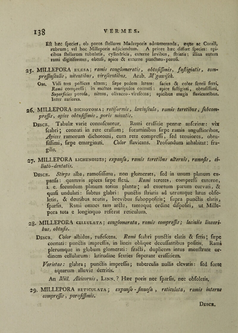 Eft h£C fpecies, ob poros ftellares Madreporis adnumeranda, aqtte ac Corall. rubrum; vel hoc Milleporis adjiciendum. A priore hac differt fpecies: api¬ cibus ftellarutn tubulatis, cylindricis, externe hrvibus, ft viatis: illius autem rami digitiformes, obtuli, apice & externe punclato-porofi. 25. MILLEPORA ex/ES a ; ramis conglomeratis, obtufiffmis, fajfligiatis, com* prejfufculis, nitentibus, virefcentibus. Arab. M'gaivifch. Obs. Vidi tres pollices altam; flepe pedem latam: facies & color fcorii ferri. Rami comprefli; in multos manipulos connati: apice faftigiati, obtufiflimi. Superfetes porofa, nitens, olivaceo- virefcens; apicibus magis flavicantibus. Inter rariores. 26. MILLEPORA diciiotoma; retiformis, Icsviufcula, ramis teretibus, fub com¬ prejfs, apice obtufjjimis, poris minutis, Descr. Tabulae varie connafcuntur. Rami craflitie penna? anferinae: vix fcabri ; connati in rete craflum ; foraminibus faepe ramis anguflioribus. Apices ramorum dichoromi, cum rete comprefli, fed tenuiores, obru- fiflimi» fatpe eimrginati. Color flavicans. Profundum inhabitat: fra¬ gilis. 27. MILLEPORA lichenoides; expanfa, ramis teretibus alternis, ramofs, ci¬ liato-dentatis. Descr. Stirps alba, ramofiflima, non glomerata, fed in unum planum ex¬ panfa: quamvis apices 1'aape flexi. Rami teretes, comprefli externe, i, e. fecundum planum totius plantae; ad exortum parum curvati, & quafi undulati: fubtus glabri: punftis flriatis ad urrumque latus obfo- letis, & dentibus acutis, brevibus fuboppofnis; fupra pun&is elatis, fparfis. Rami omnes tam ar&e, tantoque ordine difpoftti, ut Mille- pora tota e longinquo referat reticulum. 2g, MILLEPORA cei.lulata; conglomerata, ramis comprejfs; laciniis lineari¬ bus, obtujis. Descr. Color albidus, rufefeens. Rami fcabri punSis elatis & feris; fsepe connati: pun&is impreflis, in lineis oblique decuilantibus poliris. Rami plerumque in globum glomerati: fraffi, duplicem intus monftrant or¬ dinem cellularum: latitudine fexties fuperant eraflniem. Varietas: glabra; punQis impreflis; tuberculis nullis elevatis: fed forte aquarum alluvie detritis. An Mill. Alcicornis, Linn. ? Hae e poris nec Iparfls, nec obfoletis, 29. MILLEPORA reticulata; expanfo -Jinuofa , reticulata, ramis interne comprejfs, porojijfirnis. Descr,