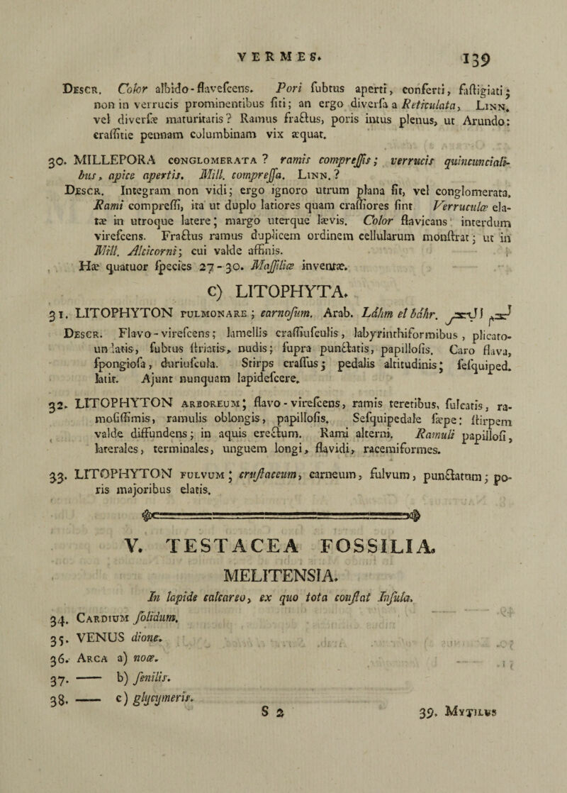 Descr. Color albido • flavefcens. Pori fubrus apertr, conferti, fafligiati* non in verrucis prominentibus fiti; an ergo diverfa a Reticulata > Linn. vel diverfe maturitatis? Ramus fraftus, poris intus plenus, ut Arundo: craffitie pennam columbinam vix aequat. 30. MILLEPORA conglomerata? ramis comprejjis; verrucis quincunciaii¬ bus, apice apertis. Mill. cotnprejfa. Linn, ? Descr. Integram non vidi; ergo ignoro utrum plana Ut, vel conglomerata. Rami compreffi, ita m duplo latiores quam craffiores fint Verrucula ela¬ tae in utroque latere; margo uterque laevis. Color flavicans ‘ interdum virefcens. Fraftus ramus duplicem ordinem cellularum monftrat; ut in MU HI. Alcicorni\ cui valde affinis. \ Ha? quatuor fpecies 27 - 30. MaJJilice inventae. c) LITOPHYTA» 31. LITOPHYTON tulmonare ; camojiim. Arab. Ldhm et bdhr. yxrvJJ Descr. Flavo-virefcens; lamellis craffiufculis, labynnrhiforroibus , plicato- uniatis, fubtus Rriatis, nudis; fupra punfiatis, papillolis. Cato flava, fpongiofa, duriufcula. Stirps crafiusj pedalis altitudinis; fefquiped. ktir. Ajunt nunquam lapidcfcere. 32. LITOPHYTON arboreum; Ravo - virefcens, ramis teretibus, fufcatis, ra- mobffimis, ramulis oblongis, papillofis. Sefquipedale faepe: ffirpem valde diffundens; in aquis erectum. Rami alterni. Ramuli papiilou, larerales, terminales, unguem longi, flavidi, racemiformes. 33. LITOPHYTON fulvum; crufiaccum, carneum, fulvum, pun£tamm; po¬ ris majoribus elatis. ——t=s. ■-=— V. TESTACEA FOSSILIA, MELITENSIA. In lapide catcareoy ex quo tota confiat Infula. 34. Cardium folidum. 35. VENUS diam. 36. Arca a) noa. 37. - b) fenilis. 33, - c) glycymeris.