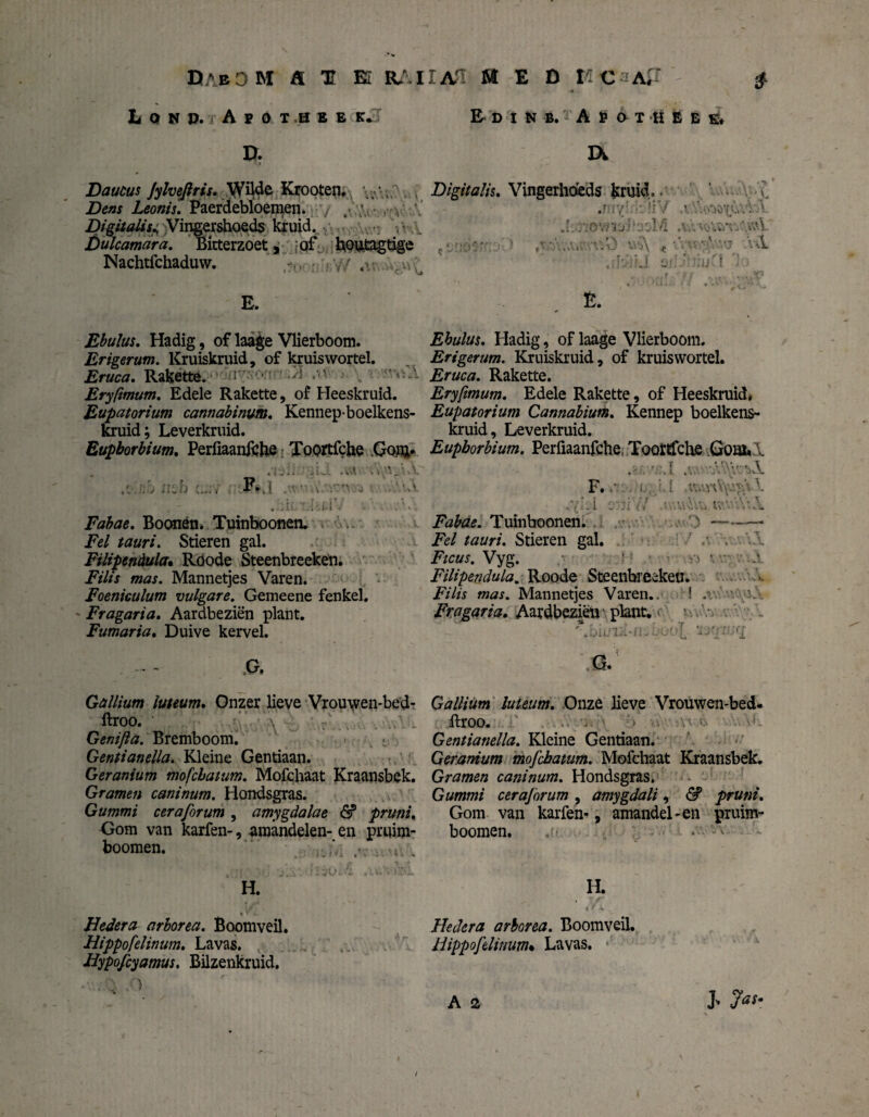 S D*eO M tl Tt BE KJ,11AfL M E D HCsaT Lqnp. Apotheek. &dinb, Apotheek, a Daucus Jylvefiris. WiWe Kropten. v.v.i,” , Zto Z*ö«/'j. Paerdebloemen. DigitalisVingershoeds kruid. , Dulcamara. Bitterzoet, ;of houtagtige Nachtfchaduw. Digitalis. Vingerhdeds kruid.. 7. .my; i 'i'liV , ?. .Vi wö'O-,vbl .!•:.riov*'iiribel/l •\ï»I fOndSrr.':’ ' ,;\‘>\..V.TV;0 V>‘i\ < ■' yr >;w \\1 ,;]i11J a.jJjbhjTt ')•• E. Ebulus. Hadig, of laage Vlierboom. Erigerum. Kruiskruid, of kruiswortel. Eruca, Rakette. J ''-'i Eryftmum. Edele Rakette, of Heeskruid. Eupatorium cannabinum. Kennep-boelkens- kruid; Leverkruid. Eupborbium. Perfiaanfthe Toortfche .Gom*1 A •! 'J - a - • 1 wi • VW vJ ^ ^ *. A. ,5 ... b . F* 1 • VuS . iltlJafciV - Fabae. Boonén. Tuitiboonen. Fel tauri. Stieren gal. Filipendula» Röode Steenbreeken. jF/'/A wa;. Mannetjes Varen. Foeniculum vulgare. Gemeene fenkel. ' Fragaria. Aardbeziën plant. Fumaria. Duive kervel. Ebulus. Hadig, of laage Vlierboom. Erigerum. Kruiskruid, of kruiswortel. Eruca. Rakette. Eryftmum. Edele Rakette, of Heeskruid» Eupatorium Cannabium. Kennep boelkens- kruid, Leverkruid. Eupborbium. Perfiaanfche, Toortfche Goaul .'f. r’ïvl 4v. -V.A\v,iA F. i ' I. \ .yi.l ei!’// .ivAv&fc uv.'VvA Fabae. Tuinboonen. ’) -- Fel tauri. Stieren gal. Ficus. Vyg. 1 \ Filipendula. Roode Steenbreeken. Flits mas. Mannetjes Varen.. ! Fragaria. Aardbeziën plant, r ; ~~ G, Gallium ïuteum. Onzer lieve Vrouwen-bed- ftroo. Genijla. Bremboom. ■ • Gentianella. Kleine Gentiaan. Geranium mofcbatum. Mofchaat Kraansbek. Gramen caninum. Hondsgras. Gummi ceraforum, amygdalae & pruni. Gom van karfen-, amandelen- en pruim- boomen. s % , * t \ '■ f. f j i,» . /, v * H. t * Jl- Hedera arborea. Boomveil. Hippofelinum. Lavas. Hypofcyamus. Bilzenkruid. ) G. Gallium luteum. Onze lieve Vrouwen-bed- ftroo. ' > v Gentianella. Kleine Gentiaan. Geranium mofcbatum. Mofchaat Kraansbek. Gramen caninum. Hondsgras. Gummi ceraforum , amygdali, & pruni. Gom van karfen-, amandel-en pruim- boomen. . -'v H. Hedera arborea. Boomveil. Hippofelinum• Lavas. A 2 J* 7aSm