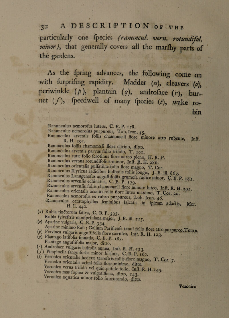 particularly one fpecies (ranuncul. vern. rotundifoh minor)) that generally covers all the marfhy parts of the gardens. As the fpring advances, the following come on with furprifing rapidity. Madder (n), cleavers (o)y periwinkle (p), plantain (y), androface (r), bur- net (/)> fpeedwell of many fpecies (/), wake ro- • bin Ranunculus nemorofus lutcus, C. B. P. 178. Ranunculus nem.orofus purpureus. Tab. Icon. 45. Ranunculus arvenfis foliis chamomadi flore minore atro rubente, Inft, H. H. 2pf. Ranunculus foliis chamomadi flore citrino, ditto. Ranunculus arvenfis parvus folio trifido, T. 101. Ranunculus rutae folio fcrotinus flore aureo pleno, H. R. P. Ranunculus vernus rotundifolius minor, Inft. R. H. 2*86.' Ranunculus orientalis pulfatillae folio flore magno, T. Cor. Ranunculus Illyricus radicibus bulbofis foliis long'is, J. B. iii. 867. Ranunculus Lanugenofus anguftifoliis grumofa radice minor C B P 18 r Ranunculus arvenfis echinatus, C. B. P. 179. * * ’ * Ranunculus arvenfis foliis chamomadi flore minore luteo, Inft. R H 2dt Ranunculus orientalis aconiti folio flore luteo maximo, T. Cor 20 ' ^ Ranunculus nemorofus ex rubro purpureus. Lob. Icon. 46. Ranunculus ceratophyllus feminibus falcatis in fpicam adaftis, Mor H. 11. 440. (») Rubia tinftorum fativa, C. B. P. 333. Rubia fylveftria monfpefulana major, J. B. iii. 71c (0) Aparine vulgaris, C. B. P. 334. 3 / x pPar.me mir|imo Raii; Galium Parifienfe tenui folio flore atro purpureo Tourn f Pervinca vulgaris anguftifolia flore caeruleo, Inft. R. H. 12^ P ’ (?) Plantago latifolia finuatis, C. B. P. 183. Plantago anguflifolia major, ditto. [r\-Ai1.dro!acf, v^garis latifolia annua, Inft. R. H. 123. (7) Pimpinella fanguiforba minor hirfuta, C. B. P. 160. 7) Veronica orientalis hederae terreftris foliis flore magno, T. Cor ’7 Veronica orientalis ocuni folio flore minimo, ditto. ' eronica verna trifido vel quinquifido folio, Inft. R. H. 145, Veronica mas fupma & vulgatiffima, ditto, 143. 5 Veronica aquatica minor folio fubrotundo, ditto. Vcaonica