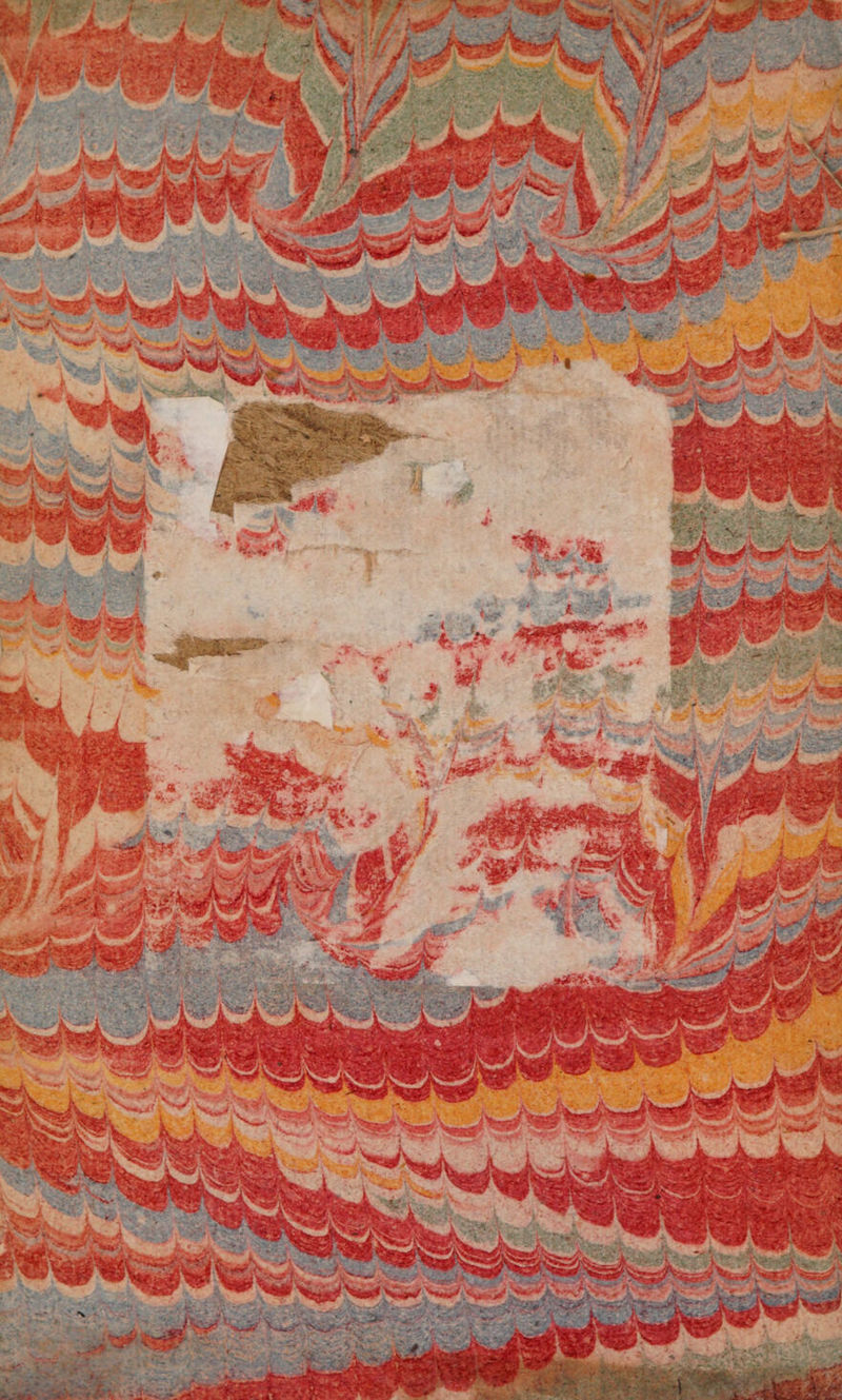 No text description is available for this image