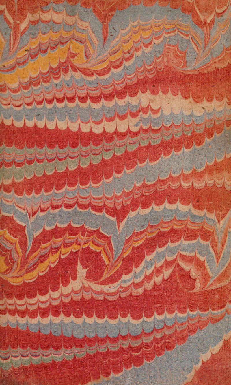 No text description is available for this image