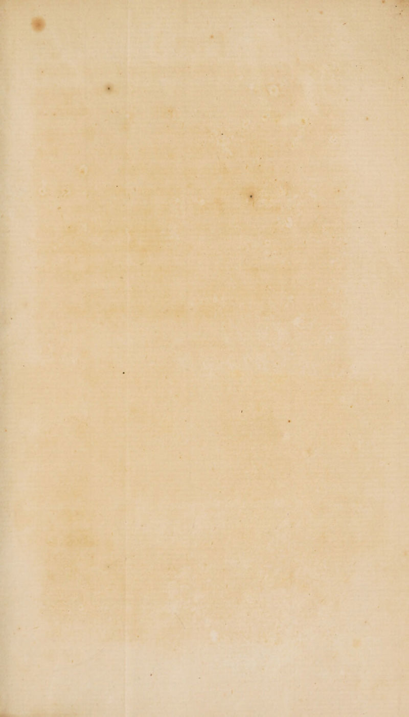 ^ PT bedmi- ^M, ate i z ex TI de S bora S t Aie urea te Ls T UEMET De. dE e in ew. TON ^ T a PM each ^u Note, ife nt Se^ c , CTUM PORE cm * dps mm - ub Lo 3 uw 1 qut. ud RM