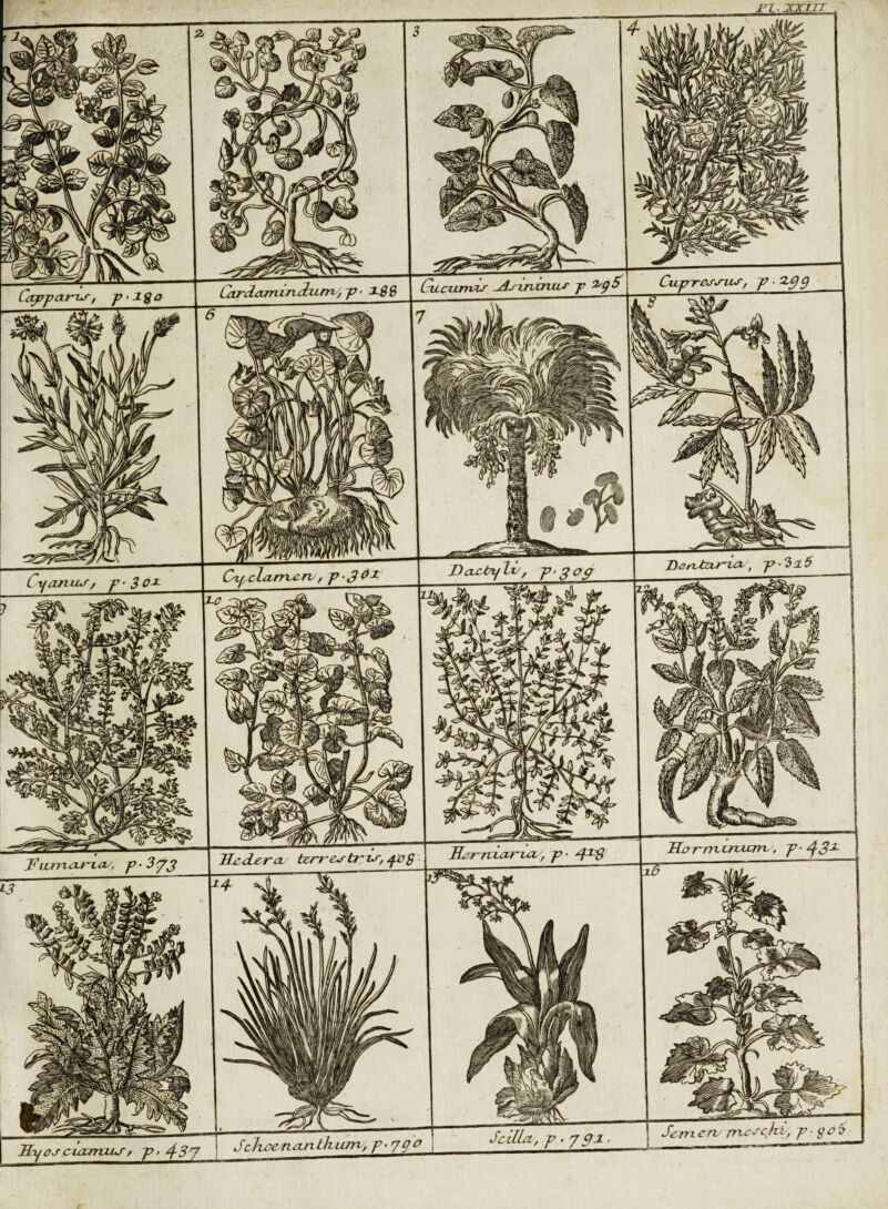 Hyoj cicaraurr yy. 4-37 JclUa,p.7ffl. ~ ■^enxerv rrxc-'c.hi,fjpi_