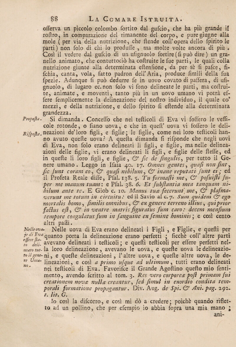 offerva un piccolo colombo fortito dal gufeio, che ha piu grande il roflro, in comparazione del rimanente del corpo, e puregiugne alla mole (per via della nutrizione, che (tende coll’opera dello fpirito le parti) non folo di chi lo produfife , ma molte volte ancora di più . Così il vedere dai gufcio di un ufignuolo fortire (fi può dire ) un gra¬ nello animato, che contuttociò ha coftruite le fue parti, le quali colla nutrizione giunte alla determinata edenfione, da per sè fi pafce, fi¬ fe hia , canta, vola, fatto padron dell9Aria, produce filmili della fua fpezie. Adunque fi può dedurre fe in uovo covato di paffera, di ufi¬ gnuolo, di lugaro ec. non folo vi fono delineatele parti, ma coftrui- te, animate, e moventi, tanto pili in un uovo umano vi potrà e fi¬ fe re femplicemente la delineazione del nodro individuo, il quale co3 mezzi, e della nutrizione, e dello fpirito fi eltende alia determinata grandezza. Propofta. Si dimanda. Concedo che nei tediceli di Èva vi fodero le vedi¬ cele rotonde, o fiano uova, e che in qued9 uova vi fodero le deli- Rìfpojìa. neazioni de’loro figli, e figlie; le figlie, come nei loro tediceli han¬ no avuto quede uova? A queda dimanda fi rifponde che negli uovi di Èva, non folo erano delineati li figli, e figlie, ma nelle delinea¬ zioni delle figlie, vi erano delineati li figli, e figlie delle dede, ed in quede li loro figli, e figlie, & fic de fingali s, per tutto il Ge¬ nere umano. Leggo in ifaia 40. 17. Omnes gentes, qua fi nonfint, fic Junt cor am co, & quafi nihilum, inane reputati flint ei ; ed il Profeta Reale dille, Pfah 138. 5. Tu forma fi me, pofuifli fu- per me manurn tuam: e Pfal. 38» 6. Et fubfiantia me a tanquam ni- hilum ante te. E Giob c. io. Manus tu# fecerunt] me, & plafma- verunt me tot am in circuita: ed il Savio al c. 7. Sum quidem & ego mortalis homo, fmilis omnibus, & ex genere terreno illius, quiprior fa£iu$ efi) & in'ventre matris figuraius fum caro: decem menfium tempore coagulatus fum in fanguine ex femine hominis ; e così cento altri padi. igeile ava- Nelle uova di Èva erano delineati i Figli , e Figlie, e quedi per ìeffl ffa quanto porta la delineazione erano perfetti ; ficchè coll’altre parti tolti- avevano delineati i tediceli; e quedi tedicoli per edere perfetti nel- neato tut- la loro delineazione, avevano le uova, e quede uova le delineazio- toiigene- ni, e quede delineazioni, P altre uova, e quede altre uova, le de- Ye Uma' lineazioni, e così a primo ujque ad ultimarne tutti erano delineati nei tedicoli di Èva. Favorisce il Grande Agodino quedo mio fenti- mento, avendo fcritto al tom. 3. Res vero corporea po/l primam fui creationem nova: nuli# creante, fed fimul in exor dio condita tem¬ porali formatione propagante. Div. Aug. de Spi. & Ani. pag. 292* t. Ut. G. Io così la difeorro, e così mi dò a credere; poiché quando riflet¬ to ad un pollinoy che per efempio io abbia Copra una mia mano ; am-