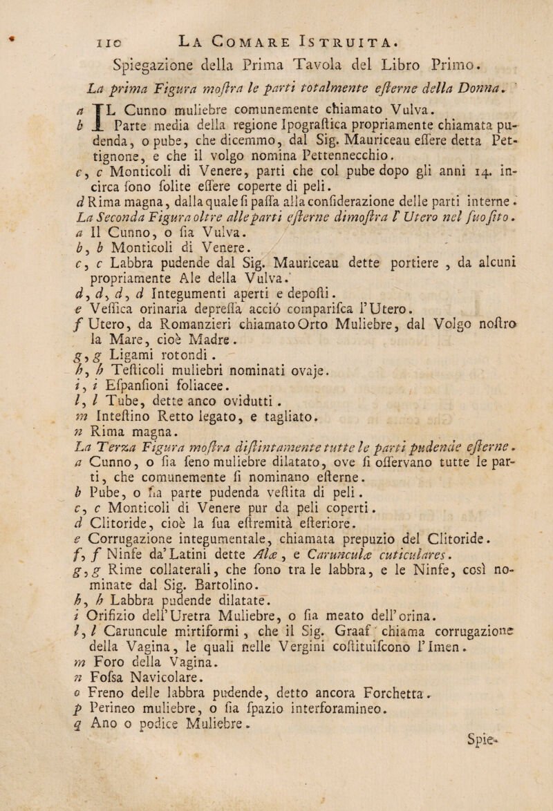 Spiegazione della Prima Tavola del Libro Primo. La prima Figura moftra le parti totalmente efterne della Donna. a TL Curino muliebre comunemente chiamato Vulva. b JL Parte media della regione Ipograftica propriamente chiamata pu¬ denda 3 opube, che dicemmo, dal Sig. Mauriceau edere detta Pet- tignone, e che il volgo nomina Pettennecchio. r, c Monticeli di Venere, parti che col pube dopo gli anni 14. in¬ circa fono Polite edere coperte di peli. ^ Rima magna, dalla quale fi paffa alia confiderazione delle parti interne. La Seconda Figura oltre alle parti efterne dimofira F Utero nel fuoftto. a II Canno, o fi a Vulva. bj b Monticeli di Venere. / c, c Labbra pudende dal Sig. Mauriceau dette portiere , da alcuni propriamente Ale della Vulva. dydydyd Integumenti aperti e depofli. e Vellica orinaria depreda accio comparifca l’Utero. /Utero, da Romanzieri chiamatoOrto Muliebre, dal Volgo nofiro la Mare, cioè Madre. gjg Rigami rotondi. hy h Tediceli muliebri nominati ovaje. i, i Efpanfioni foliacee. /, l Tube, dette anco ovidutti . m Intedino Retto legato, e tagliato. n Rima magna. La Terza Figura moftra diftintamente tutte le parti pudende efterne. a Canno, o da feno muliebre dilatato, ove fi offervano tutte le par¬ ti, che comunemente fi nominano ederne. b Pube, o La parte pudenda vedita di peli. <?, c Monticeli di Venere pur da peli coperti. d Clitoride, cioè la fua edremità ederiore. € Corrugazione integumentale, chiamata prepuzio del Clitoride. /,/Ninfe da’Latini dette Alee , e Carunculce cuti cui ar es. gyg Rime collaterali, che fono tra le labbra, e le Ninfe, così no¬ minate dal Sig. Bartolino. hy h Labbra pudende dilatate. i Orifizio dell’Uretra Muliebre, o fi a meato dell’orina. lyl Caruncole mirtiformi, che il Sig. Graaf chiama corrugazione delia Vagina, le quali nelle Vergini codituifcono ì’Imen. m Foro della Vagina. n Fofsa Navicolare. 0 Freno delle labbra pudende, detto ancora Forchetta. p Perineo muliebre, o ila fpazio interforamineo. q Ano o podice Muliebre.