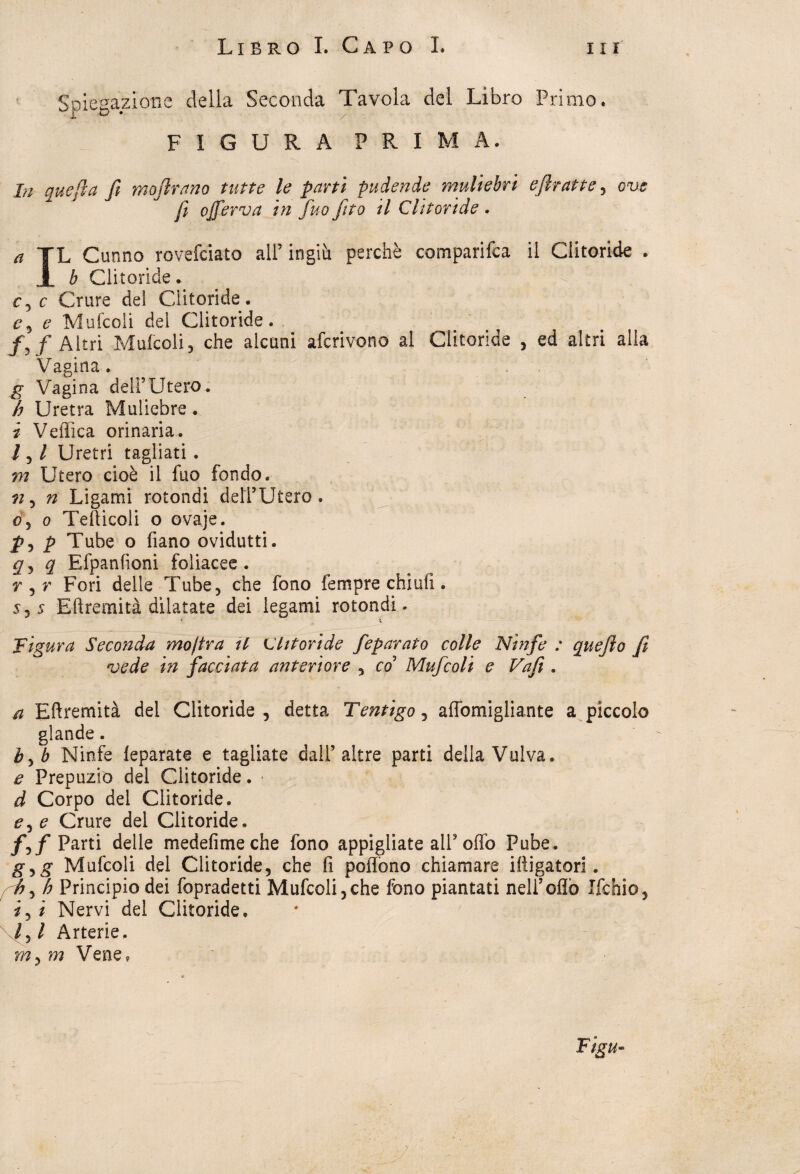 Spiegazione della Seconda Tavola del Libro Primo. FIGURA PRIMA. In quefla fi moftrano tutte le parti pudende muliebri efiratte, ove fi ojferva in fino fitto il Clitoride . a TL Canno rovefciato all5 ingiù perchè comparila il Clitoride . JL b Clitoride. ' r, c Crure del Clitoride. e, e Malcoli del Clitoride. /,/Altri Mufcoli, che alcuni afcrivono al Clitoride , ed altri alia Vagina . g Vagina dell’Utero. b Uretra Muliebre., i Vellica orinaria. 1, l Uretri tagliati . m Utero cioè il fuo fondo. n , n Ligami rotondi detl5Utero . o 5 o Tellicoli o ovaje. p, p Tube o fiano ovidutti. q , q Efpanfioni foliacee . r , r Fori delle Tube, che fono fempre chi ufi. 5,5 Efìremità dilatate dei legami rotondi. Figura Seconda mojtra il Clitoride fieparato colle Ninfe : quefio fi vede in facciata anteriore , co Mufcoli e Vafi. a Eftremità del Clitoride , detta Tentigo , affomigliante a piccolo glande. òyb Ninfe leparate e tagliate dall’altre parti della Vulva. e Prepuzio del Clitoride. d Corpo del Clitoride. eye Crure del Clitoride. Parti delle medefimeche fono appigliate all5 offo Pube. gyg Mufcoli del Clitoride, che fi poffono chiamare ifligatori. fdh*fih Principio dei fopradetti Mufcoli,che fono piantati neli’oflò Ifchio, iji Nervi del Clitoride. fi l Arterie. my m Vene? Figu-