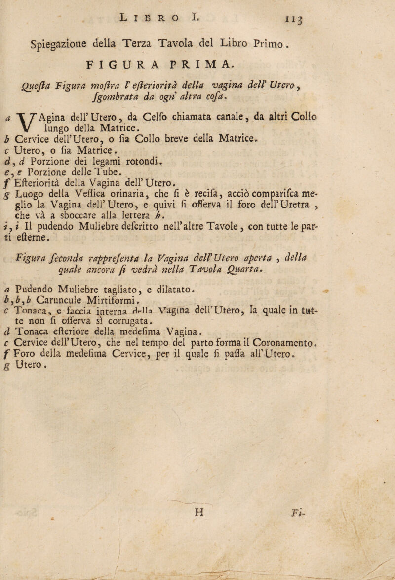 Spiegazione della Terza Tavola del Libro Primo * FIGURA PRIMA. Quefia Figura moflra V efterìorità della vagina de IT Utero , jgombrata da ogrì altra cofa. a T TAgina dell’Utero, da Celfo chiamata canale, da altri Collo V lungo della Matrice. h Cervice dell’Utero, o fia Collo breve della Matrice. c Utero, o fia Matrice. d^d Porzione dei legami rotondi. e^e Porzione delle Tube. / Efteriorità della Vagina dell’Utero. g Luogo della Vellica orinaria, che fi è recifa, acciò comparifca me¬ glio la Vagina dell’Utero, e quivi fi offerva il foro dell’Uretra , che và a sboccare alla lettera h. fi II pudendo Muliebre defcritto nell5altre Tavole , con tutte le par¬ ti efterne. Figura feconda rapprejenta la Vagina del? Utero aperta , della quale ancora fi vedrà nella Tavola Quarta. a Pudendo Muliebre tagliato, e dilatato. b^b^b Camncule Mirtiformi. c Tonaca, c faccia interna HpIIs Vagina dell’Utero, la quale in tut¬ te non fi offerva sì corrugata. d Tonaca efteriore della medefima Vagina. c Cervice dell’Utero, che nel tempo dei parto forma il Coronamento* f Foro delia medefima Cervice, per il quale fi paffa all'Utero. g Utero.