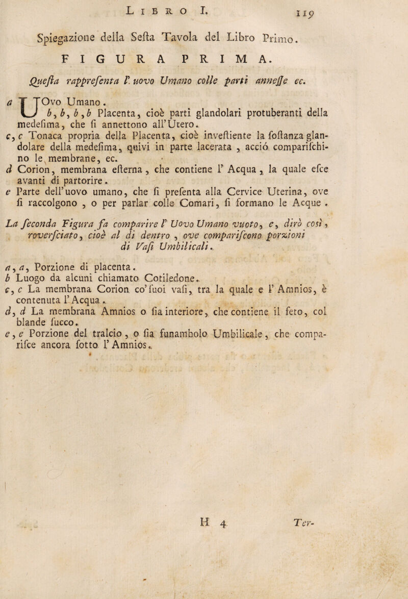 Spiegazione deila Seda Tavola del Libro Primo. FIGURA PRIMA. Quefia rapprefenta V. uovo Umano colle partì annejje ec. a T TOvo Umano. ILJ b,b)byb Placenta5 cioè parti glandolari protuberantì della medefima, che fi annettono all’Utero. c, c Tonaca propria della Placenta, cioè Ulve fi i ente la foftanza glan¬ dolare della medefima, quivi in parte lacerata , accio comparifchi- no le membrane, ec. d Corion, membrana efterna , che contiene P Acqua, la quale efce avanti di partorire. e Parte dell’uovo umano, che fi prefenta alla. Cervice Uterina, ove fi raccolgono , o per parlar colle Comari, fi formano le Acque . La feconda Figura fa comparire V Uovo Umano vuoto, <?, diro così, roverfciato, cioè al di dentro , ove comparirono porzioni di Fa fi Umbilicalì. rt} a. Porzione di placenta. b Luogo da alcuni chiamato Cotiledone* c, c La membrana Corion co’fuoi. vali, tra la quale e P Animos, è contenuta l’ Acqua ». id, d La membrana Amnios o Ila interiore, che contiene il feto, col blande fucco. eye Porzione del tralcio, o fia funambolo Umbilicale, che ccmpa- rifce ancora, fotta l’Amnios », r H 4