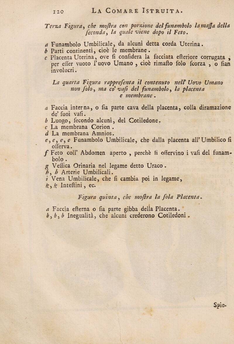 120 Terza Figura, che moftra con porzione del funambolo la mafia della feconda, //* quale viene dopo il Feto. a Funambolo Umbilicale, da alcuni detta corda Uterina. b Parti continenti, cioè le membrane. c Placenta Uterina, ove fi confiderà la facciata efieriore corrugata , per effer vuoto l’uovo Umano , cioè rimafto folo fcorza , o fian involucri « La quarta Figura rapprefenta il contenuto nelV Uovo Umano non fola, ma co vafi del funambolo, la placenta e membrane. a Faccia interna, o fia parte cava della placenta, colla diramazione de’ fuoi vafi. b Luogo, fecondo alcuni, del Cotiledone. c La membrana Corion . d La membrana Amnios. ey e Funambolo Umbilicale, che dalla placenta all’ Umbilico fi ofièrva. f Feto coll’ Abdomen aperto , perchè fi ofiervino i vafi del funam¬ bolo . g Vellica Orinaria nel legame detto Uraco. h, h Arterie Umbilicali. i Vena Umbilicale, che fi cambia poi in legame, k Inteftini, ec. Figura quinta, che moftra la fola Placenta « 4r # a Faccia efierna o fia parte gibba della Placenta. bybyb Inegualità, che alcuni crederono Cotiledoni.