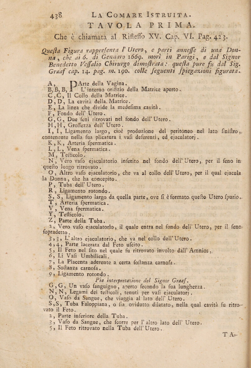 TAVOLA PRIM. A* Che è chiamata al Rifleffo XV. Gap. VI. Pag. 423. Que[ìa Figura rapprejenta V Utero 5 e partì annejfe di una Don¬ na 5 che ai 6, di Gennaro 1669. morì in Parigi, e dal Signor Benedetto Vejfalio Chirurgo dimoftrata : quella pure fu dal Sig. Graaf cap. 14. pag. m. 190. colle feguentì spiegazioni figurata« A, OArte della Vagina. R, B, B, 1 L’interno orifizio della Matrice, aperto» G,G, Il Collo della Matrice. D, D, La cavità della Matrice. E, La linea che divide la medefima cavità. F, Fondo dell’ Utero. G, G, Due fieni ritrovati nel fondo dell’ Utero. H, H , GroiTezza deli’Utero. I, 1, Ligamento largo, cioè prodazione del peritoneo nei lato fìnidro, contenente nella fina plicatura i vafi deferenti, ed ejaculatorj. K , K , Arteria fipermatica . L , L , Vena fipermatica. M, Tedicelo. N, Vero vafio ejaculatorio infierito nei fondo deli’Utero, per il fieno in quefto luogo ritrovato . O, Altro vafio ejaculatorio, che va al collo dell’Utero, per il qual eiacula la Donna, che ha concepito. P, Tuba dell’Utero. R, Ligamento rotondo. S, S, Ligamento largo da quella parte, ove fi è formato qued© Utero fipurioo T, Arteria fipermatica. V , Vena fipermatica. Y, Tedicelo. Z, Parte della Tuba. 2-, Vero vafio ejaculatorio, il quale entra nel fiondo deli Utero, per il fieno fopradetto. 3.3, L’altro ejaculatorio, che va nel collo dell’Utero. 4.4, Parte iacerata dal Feto uficito. 5 , Il Feto nel fitto nel quale fu ritrovato involto dall’ Amnios, 6, Li Vafi Umbilicali. 7, La Placenta aderente a certa fiodanza carnofa. 8 , Sodanza carnofa. 9 , Ligamento rotondo . Pia interpretazione del Signor Graaf. G,G, Un vafio fianguigno, aperto fecondo la fua lunghezza» N, N, Legami dei tedicoli, tenuti per vafi ejaculatorj. O, Vafio da Sangue, che viaggia al lato dell’ Utero. 5.5, Tuba Faloppiana, o fia ovidutto dilatato, nella qual cavità, fu ritro¬ vato il Feto. 2, Parte inferiore della Tuba. 3 5 Vafo da Sangue, che ficorre per l’altro lato dell’ Utero. 5 j II Feto ritrovato nella Tuba dell’Utero. T A,