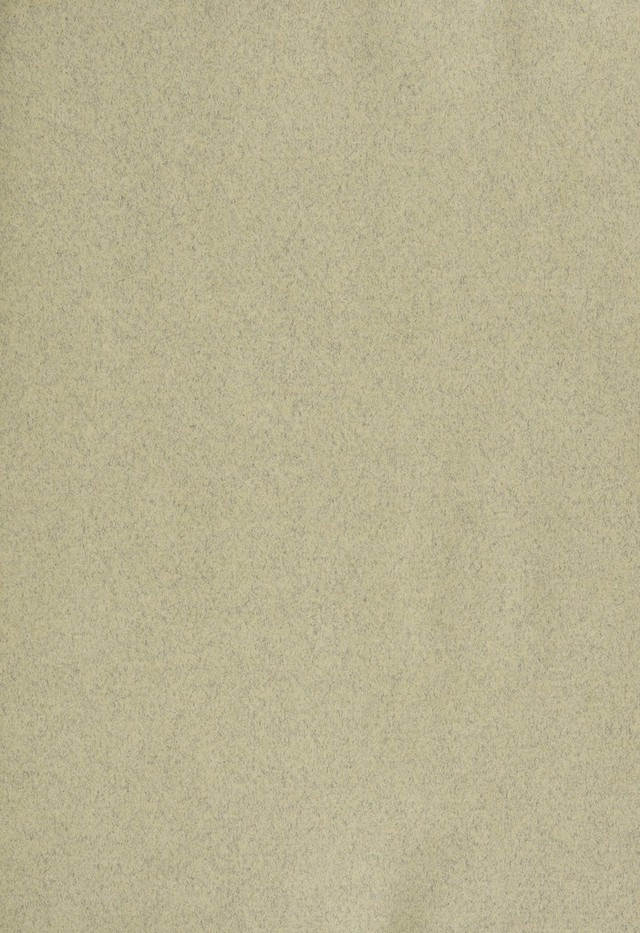 digitised image 3