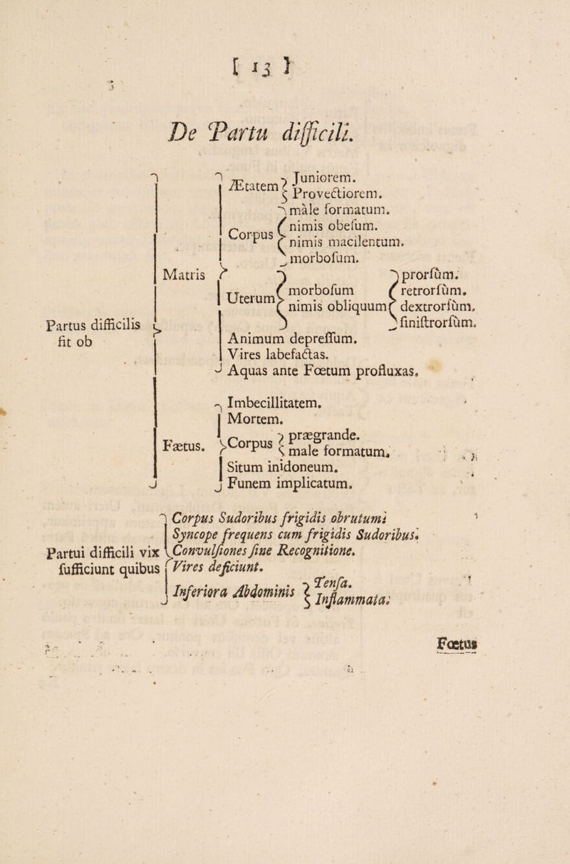 }*>• [ ) De Tartu difficili. Partus difficilis Ht ob Matris !> Fastus. J 1 Cratem? Juniorem* yLutem5 Provedliorem. Urnale formatum. ^ ( nimis obefum. 01 PUa ( nimis macilentum. t ~) jprorfum. TT (morbofum /retrorfum» terum> imis obliquumf dextrorium, j _ finiftrorfum. Animum depreffum. Vires labefadlas. d Aquas ante Foetum profluxas, n Imbecillitatem, j Mortem. { r, ) praegrande. i orpus ^ maje formatum. Situm inidoneum. Funem implicatum. -4 Partui difficili vix Corpus Sudoribus frigidis obrutumi Syncope frequens cum frigidis Sudoribus« \Convulfionesfine Recognitione» fufficiunt quibus < Vires deficiunt. hfmora Abdominis ^ ^fammW