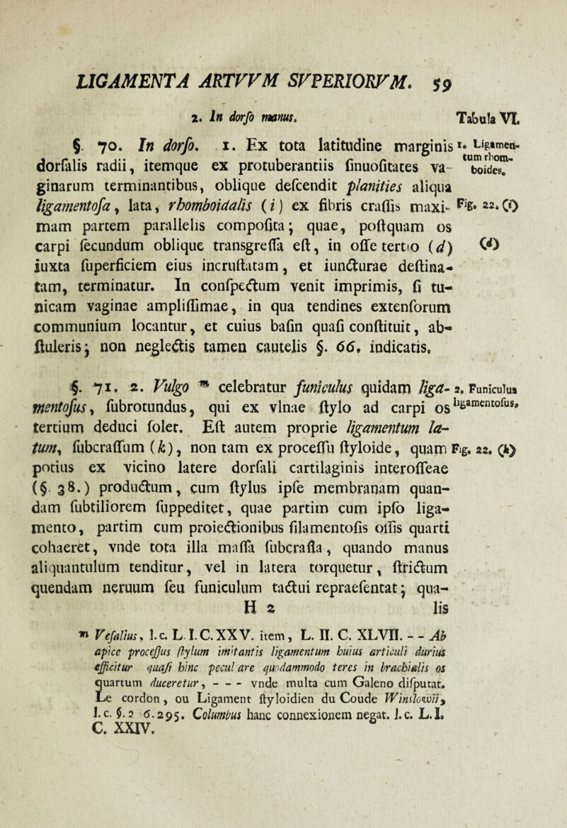 ■N ^ # 2. 2« <for/& manus, Tabula VI. §. 70. In dorfo. .1. Ex tota latitudine marginisLigtmeit. dorfalis radii, itemque ex protuberandis finuofitates va boidcs?' ginarum terminantibus, oblique defcendit planities aliqua ligamentofa, lata, rhomboidalis (i) ex fibris crafljs maxb Fig* CO mam partem parallelis compofita; quae, poftquam os carpi fecundum oblique transgrefla eft, in offe tertio (d) CO juxta fuperficiem eius incruftatam, et iundurae deftina- tam, terminatur. In confpedum venit imprimis, fi tu¬ nicam vaginae ampliflimae, in qua tendines extenforum communium locantur, et cuius bafin quafi conftituit, ab- ftulerisj non negledis tamen cautelis §■ 66, indicatis, 71, 2. Fulgo m celebratur funiculus quidam liga- 2. Funiculus mentofus, fubrotundus, qui ex vlnae ftylo ad carpi 0s ll£*mentofus' tertium deduci folet. Eft autem proprie ligamentum la¬ tum, fubcraffum (k), non tam ex procefiu ftyloide, quam %. 22. C*> potius ex vicino latere dorfali cartilaginis interofleae (§ 38.) produdum, cum ftylus ipfe membranam quan- dam fubtiliorem fuppeditet, quae partim cum ipfo liga¬ mento, partim cum proiedionibus filamentofis olfis quarti cohaeret, vnde tota illa mafia fubcrafia, quando manus aliquantulum tenditur, vel in latera torquetur, ftridum quendam neruum feu funiculum tadui repraefentat • qua- H 2 lis *> Vefalius, l.c. L I.C.XXV. item , L. II. C. XLVII. - - Ab apice procejjits flylum imitantis ligamentum huius articuli durius efficitur quafi hinc pecul are quodammodo teres in brachialis os quartum duceretur,-vnde multa cum Galeno difputat. Le cordon , ou Ligament ftyloidien du Coude Winslovoiiy J. c. 5.2 6.295. Columbus hanc connexionem negat. J.c. L.L C. XXIV.