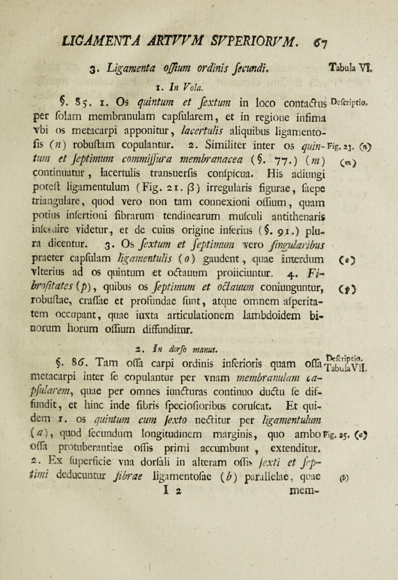 3. Ligamenta ojjium ordinis fecundi. Tabula VI, I. /« Vola. §. 85. 1. Os quintum et Jextum in loco contadus Defaiptio. per folam membranulam capfularem, et in regione infima vbi os metacarpi apponitur, lacertulis aliquibus ligamento- fis (n) robuftam copulantur. 2. Similiter inter 03 quin-n?..23. (a) tum et Jeptimum commiffura membranacea (§. 77.) {m) <;m) continuatur, lacertulis transuerfis conlpicua. His adiungi potell ligamentulum (Fig. 21. (3) irregularis figurae, ia e pe triangulare, quod vero non tam connexioni oiiium, quam potius infertioni fibrarum tendinearum muiculi antithenaris inict jire videtur , et de cuius origine inferius (§. 91.) plu¬ ra dicentur. 3. Os Jextum et Jeptimum vero fingularibus praeter capfulam ligamentulis (o) gaudent, quae interdum (#) vlterius ad os quintum et odauum proficiuntur. 4. Fi¬ bro fitates (p), quibus os Jeptimum et oclauum coniunguntur, (f} robuftae, crafiae ct profundae funt, atque omnem afperita- tem occupant, quae iuxta articulationem lambdoidem bi¬ norum horum offium diffunditur, 1 2. In dorfo manus, §• 86. Tam odit carpi ordinis inferioris quam offa q^buiaVlL metacarpi inter fe copulantur per vnam membranulam ia~ p fu!arem, quae per omnes iunduras continuo dudu fe dif¬ fundit, et hinc inde fibris fpeciofioribus corufcat. Et qui¬ dem 1. os quintum cum jexto neditur per ligamentulum («), quod fecundum longitudinem marginis, quo ambo Fig, 45. (aj offa protuberandae offis primi accumbunt , extenditur. 2. Ex fuperficie' vna dorfali in alteram offis Jexti et Jp- titni deducuntur Jibrae ligamentolae (b) parallelae, quae $>)