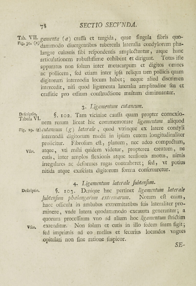 Tab. VII. gamenta (a) craffa ct turgida, quae fingula fibris quo- Fig.30. W^ammodo diuergentibus tubercula lateralia condylorum pha¬ langae cuiusuis fibi refpondentis amplectuntur, atque hanc articulationem robuftilfirne cohibent et dirigunt. I otus ille apparatus non folum inter metacarpum et digitos omnes ac pollicem, fed etiam inter ip(a reliqua tam pollicis quam digitorum internodia locum habet j neque aliud discrimen intercedit, nili quod ligamenta lateralia amplitudine fua et craflitie pro olliuin conftruCtione multum diminuantur. 3. Ligamentum cutaneum. ThTvi 102* viciniae cauflil Pr0Pter connexio¬ nem rerum liceat hic commemorare ligamentum aliquod Fig. 19. (g)cutaneum (g) laterale , quod \trinque ex latere condyli internodii digitorum medii in ipfam cutem iongitudinaliter proiicitur. Fibrofum eti, planum, nec adeo compactum, Vfu?# atque, vti mihi quidem \idetur, propterea creatum, ne cutis, inter amplos flexionis atque tenfionis motus, nimis irregulares ac deformes rugas contraheret • fed, Tt potius nitida atque exafciata digitorum forma conternaretur. 4. Ligamentum laterale jubtenjum. Defcriptio. §. 103. Denique huc pertinet ligamentum laterale jubtenjum phalangarum .extremarum. Notum eft enim, haec officula in ambabus extremitatibus fuis lateraliter pro¬ minere, rade latera quodammodo excauata generantur ^ a quorum proceffimm vno ad alium hoc ligamentum Aridi i m Vfuf, extenditur. Non folum et cutis in illo fedem fuam figit; * fed imprimis ad eo melius et fecurius locandos \ngues opitulari non fine ratione fuspicor. SE-