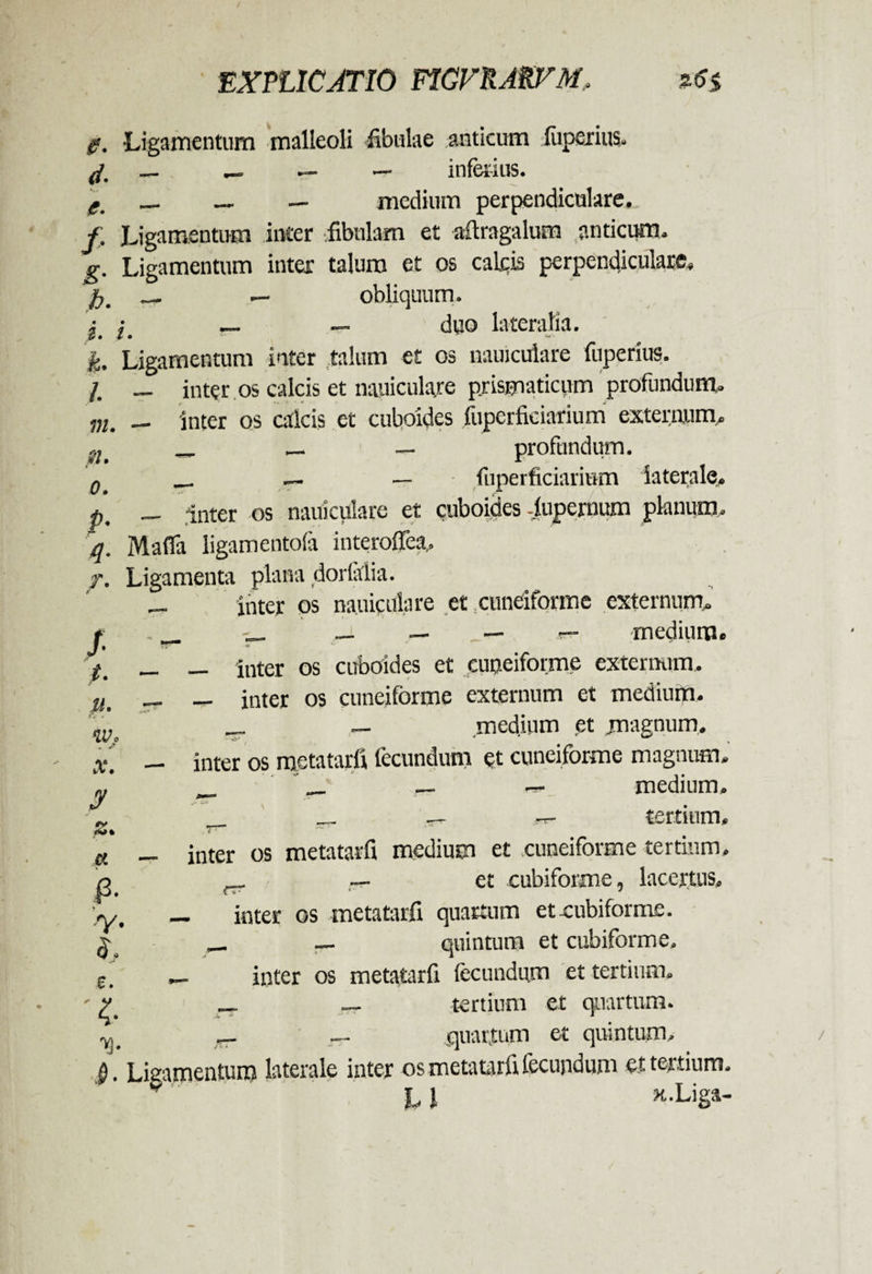 EXPLICATIO FIGVKAPVM. $6 $ 0. Ligamentum malleoli fibulae anticum fuperius. (i. — — — — inferius. g. — — — medium perpendiculare. f. Ligamentum inter fibulam et aftragalum .anticum. g. Ligamentum inter talum et os calcis perpendiculare, ' fo' __ — obliquum. $ i __ — duo lateralia. k. Ligamentum inter talum et os nauiculare fuperius. i. — inter os calcis et nauiculare prismaticum profundunt. m. — inter os calcis et cuboides fupcrficiarium externum. ,,u „ — — profundum. _ — — fiiperficiarium laterale. p. — inter os nauiculare et cuboides-fupernum planum, q. Mafia ligamentola interoffea, T. Ligamenta plana dorfalia. — inter os nauiculare et xuneiforme externum. . __ — r- medium. — — inter os cuboides et cuneiforme externum, — «r. inter os cuneiforme externum et medium. .... __ medium et jnagnum, — inter os metatarfi fecundum et cuneiforme magnum. _ ' __ — rrr* medium. __ __ ~ ^ tertium, , 7 ■* 4 — inter os metatarfi medium et .cuneiforme tertium. ^ et cubiforme, lacertus. — inter os metatarfi quartum etxubiforme. _ _ quintum et cubiforme, — inter os metatarfi fecundum et tertium. _ _ tertium et quartum. _ — quartum et quintum, f). Ligamentum laterale inter os metatarfi fecundum et tertium. P L1 n.Liga- /• t. u. iv . Wj> X. jy Z. a p- V' s. £ • % V'