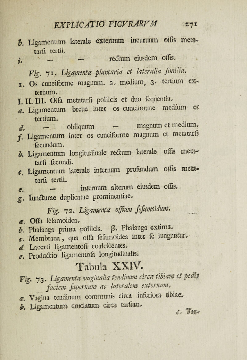 b. Ligamentum laterale externum incuruum offis rneta- tarfi tertii. •, _ — redtum eiusdem offis» pig. 71. Ligamenta plantaria et lateralia fimilia. j. Os cuneiforme magnum, 2» medium, 3. teruum ex¬ ternum. •, > I. II. III. Offa metatarfi pollicis et duo fequentia. a. Ligamentum breue inter os cunenorme medium ct tertium. & - obliquum - . magnum et medium, f. Ligamentum inter os cuneiforme magnum et metatarfi fecundum. b. Ligamentum longitudinale re&um laterale offis meta- tarfi fecundi. f. Ligamentum laterale internum profundum offis met#* tarfi tertii. f, _ internum alterum eiusdem offis. g, lundurae duplicatae prominentiae. Fig, 72. Ligamenta offhtm fefamoidant. _ a. Offa fefamoidea. b. Phalanga prima pollicis. (3. Phalanga extima» g. Membrana, qua ofla fefamoidea inter fe iunguncu » d. Lacerti ligamentofi coalefcentes. e. Productio ligamentofa longitudinalis. Eig’ 73» Ligamenta vaginalia tendinum circa tibiam ei pedi} faciem fupernam ac lateralem externam, ee. Vagina tendinum communis circa infeiiora tibiae» k Ligamentum crucfeuairn circa tarfum» $, TT®^