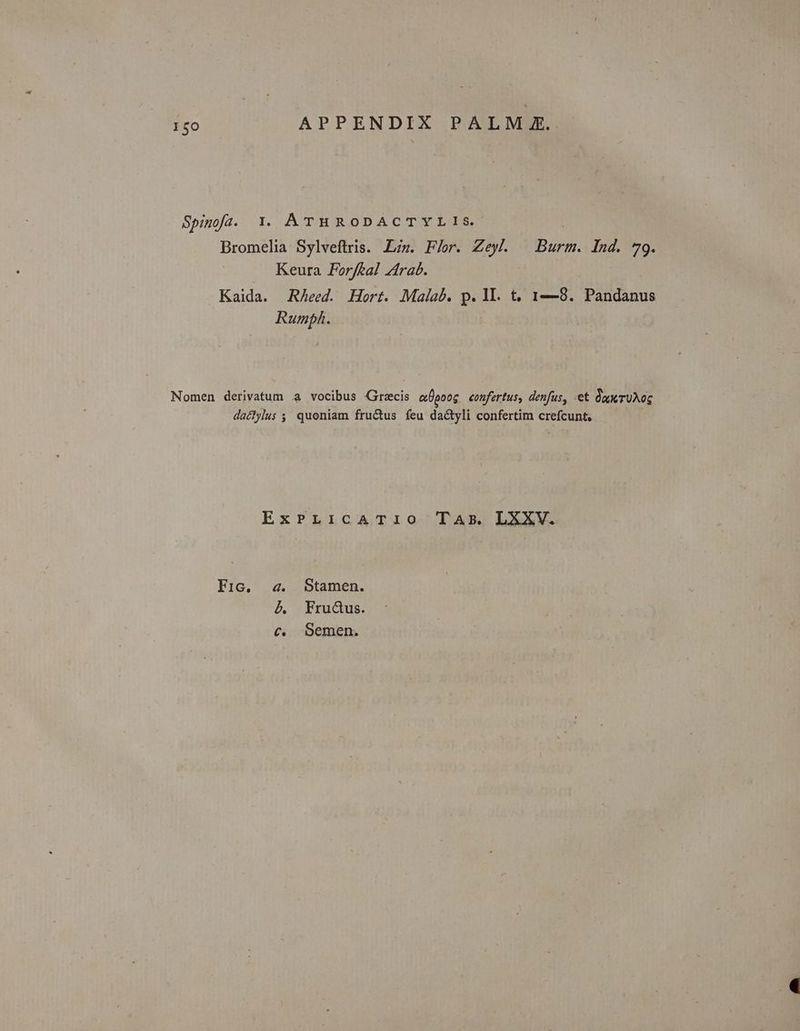 I50 APPENDIX PALM X. Spinofa. Y. ATHRODACTYLIS. Bromelia Sylveftris. Ls. Flor. uis Burm. Ind. 79. Keura Forftal Zrab. Kaida. RAeed. Hort. Malab. p. 1I. t; 1—8. Pandanus Rumph. Nomen derivatum a vocibus Grecis epooc eonfertus, denfus, et QruAoG daclylus s quoniam fructus feu dactyli confertim crefcunt, ExPLICATi1i0 TAr. LXXXV. Fic, a. Stamen. d. Frudus. c. Semen.