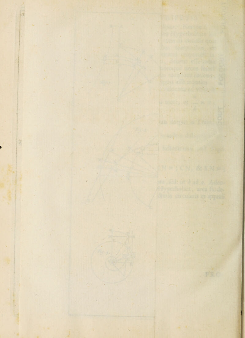 1 / - ' ' • ! • -