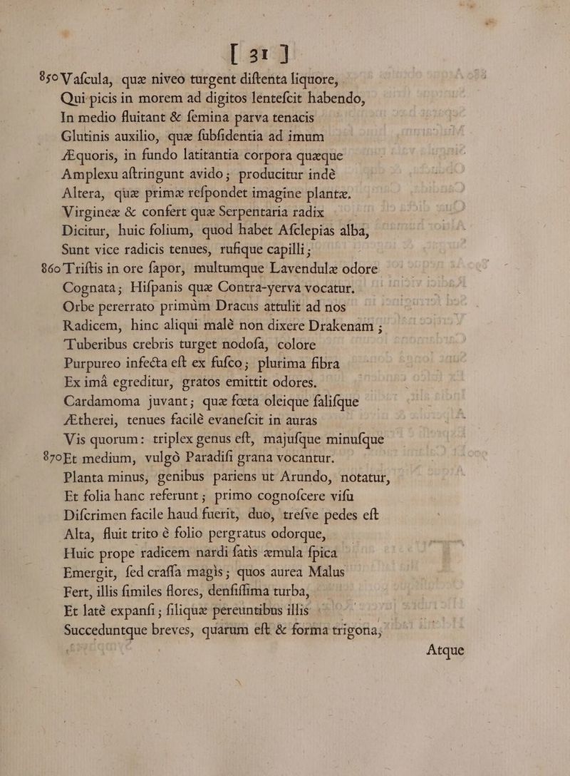 950 V afcula, que niveo turgent he. liquore, Qui-picis in morem ad digitos lentefcit habendo, In medio fluitant &amp; femina parva tenacis Glutinis auxilio, quz fübfidentia ad imum /Equoris, in fundo latitantia corpora quaque Amplexu aftringunt avido; producitur inde Altera, quz primz refpondet imagine plantz. Virginez &amp; confert quz Serpentaria radix Dicitur, huic folium, quod habet Afclepias alba, Sunt vice radicis tenues, rufique capilli ; 96o'Triftis in ore fapor, multumque Lavendulz odore Cognata; Hifpanis quz Contra-yerva vocatur. Orbe pererrato primüm Dracus attulit ad nos Radicem, hinc aliqui malé non dixere Drakenam ; Tuberibus crebris turget nodofa, colore Purpureo infecta eft ex fufco; plurima fibra Ex imá egreditur, gratos emittit odores. Cardamoma juvant; quz feta oleique falifque JEtherei, tenues facilé evanefcit in auras Vis quorum: triplex genus eft, majufque minufque $70Et medium, vulgó Paradifi grana vocantur. Planta minus, genibus pariens ut Arundo, notatur, Et folia hanc referunt; primo cognofcere vifü Difcrimen facile haud fuerit, duo, trefve pedes eft Alta, fluit trito € folio pergratus odorque, Huic prope radicem nardi fatis emula fpica Emergit, fed craffa magis; quos aurea Malus Fert, illis fimiles flores, denfiffima turba, Et laté expanfi ; filique pereuntibus illis Succeduntque breves, quarum eft &amp; forma trigona; Atque