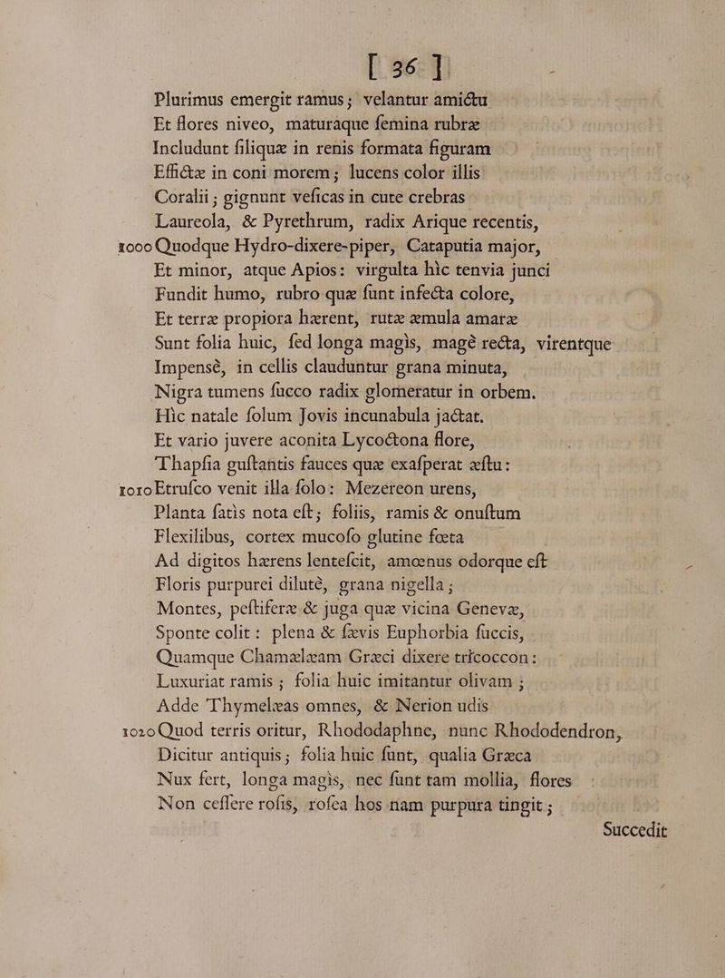 [36] ! Plurimus emergit ramus; velantur amictu Et lores niveo, maturaque femina rubrz Includunt filiquz in renis formata figuram Effi&amp;tz in coni morem; lucens color illis: Coralii ; gignunt veficas in cute crebras Laureola, &amp; Pyrethrum, radix Arique recentis, 1000 Quodque Hydro-dixere-piper, Cataputia major, Et minor, atque Apios: virgulta hic tenvia junci Fundit humo, rubro que funt infecta colore, Et terrz propiora hzrent, rutz aemula amate Sunt folia huic, fed longa magis, magé re&amp;ta, virentque Impensé, in cellis clauduntur grana minuta, Nigra tumens fucco radix glomeratur in orbem. Hic natale folum Jovis incunabula jactat. Et vario juvere aconita Lycoc&amp;tona flore, 'Thapfia guftantis fauces que exafperat ftu: roro Etrufco venit illa folo: Mezereon urens, Planta fatis nota eít; foliis, ramis &amp; onuftum Flexilibus, cortex mucofo glutine foeta Ad digitos hzrens lentefcit, amoenus odorque cft Floris purpurei diluté, grana nigella; Montes, pefítiferz &amp; juga quz vicina Geneva, Sponte colit: plena &amp; fxvis Euphorbia fuccis, Quamque Chamzlzam Graci dixere tricoccon : Luxuriat ramis ; folia huic imitantur olivam ; Adde 'Thymeleas omnes, &amp; NNerion udis 1020 Quod terris oritur, Rhododaphne, nunc Rhododendron, Dicitur antiquis; folia huic funt, qualia Greca Nux fert, longa magis, nec funt tam mollia, flores Non ceffere rofis, rofea hos nam purpura tingit ; Succedit