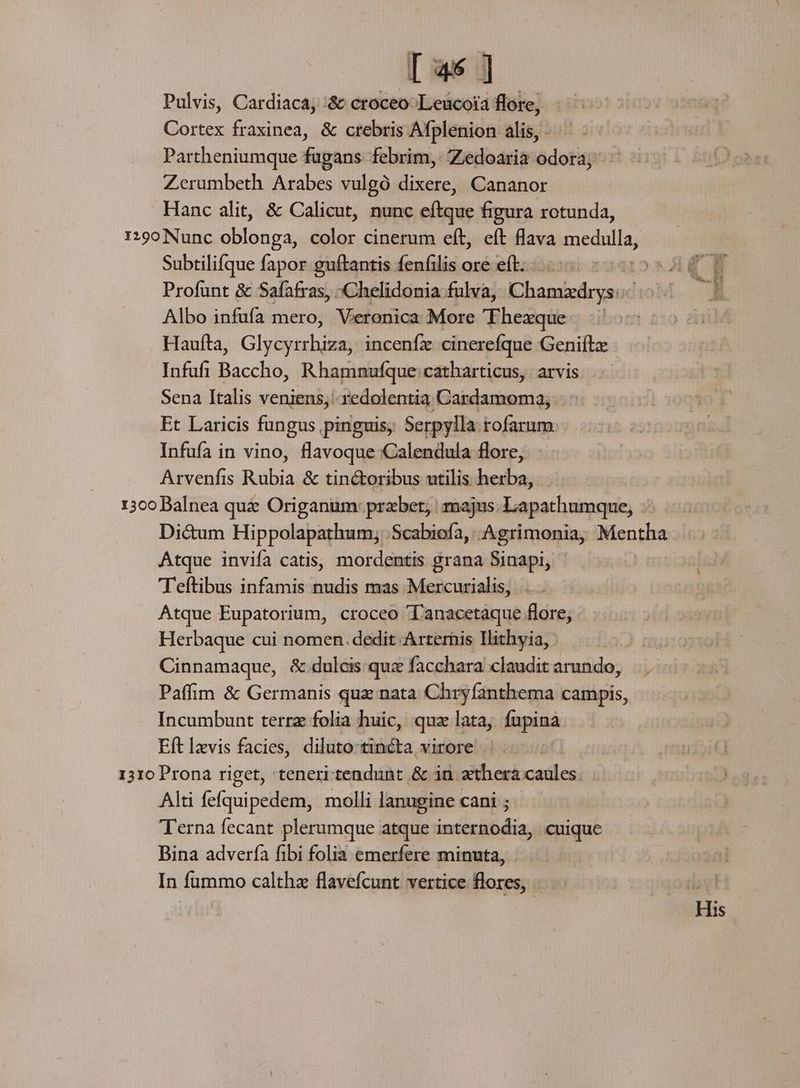 [ 45 ] Pulvis, Cardiaca, :&amp; croceo Leucoia flore, Cortex fraxinea, &amp; crebris Afplenion alis, - Partheniumque fugans. febrim, Zedoaria odora; Zerumbeth Arabes vulgó dixere, Cananor Hanc alit, &amp; Calicut, nunc eftque figura rotunda, Subtilifque fapor guftantis fenfilis ore eft. Profunt &amp; Safafras, -Chelidonia fulva, Chamzdrys: Albo infufa mero, Veronica More Thexque Haufta, Glycyrrhiza, inceníz cinerefque GeniíLx Infufi Baccho, Rhamnufque:catharticus, arvis Sena Italis veniens, redolentia Cardamoma; Et Laricis fungus pinguis; Serpylla: tofarum Infufa in vino, flavoque Calendula flore, Arvenfis Rubia &amp; tinctoribus utilis herba, Atque invifa catis, mordentis grana Sinapi, 'Teftibus infamis nudis mas Mercurialis, Atque Eupatorium, croceo 'Tanacetaque flore, Herbaque cui nomen. dedit Artemis Ilithyia, Cinnamaque, &amp; dulcis quz facchara claudit arundo, Paffim &amp; Germanis quz nata Chryfanthema campis, Incumbunt terra folia huic, qua I: lata, fupina Eft Izvis facies, diluto-tincta virore 1310 Prona riget, teneri tendunt &amp; in zthera oudlnd Alti fefquipedem, molli lanugine cani ; T'erna fecant plerumque atque imiteibdis cuique Bina adverfa fibi folia emerfere minuta, In fummo calthz flavefcunt vertice flores, |