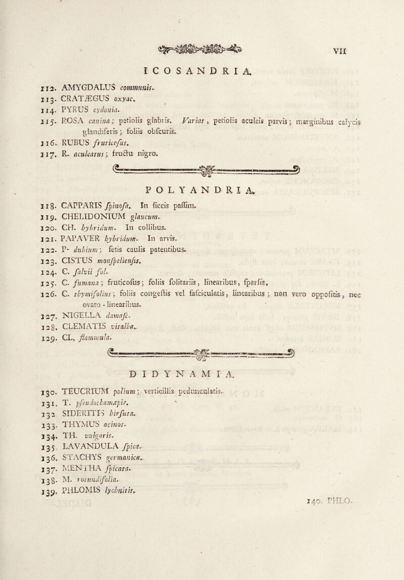 VIX ICOSANDRIA* 112. AMYGDALUS communis* 113. CRATiEGUS oxyac¥ 114. PYRUS cydonuu 115. ROSA canina; petiolis glabris, glandiferis; foliis obfcuns,. II6- RUBUS flruticcflus* 317. R. aculeatus; fruclu nigro. Variat y petiolis aculeis paryis; marginibus calycis POLYANDRIA* 118* CAPPARIS flphiofla^ In ficcis paffiin. II9. CHELIDONIUM glaucum* 120- CH. hybridum. In collibus. 121. PAPAVER hybridum, In anis. 122. P- dubium; fetis caulis patentibus. 123. CXSTUS monflpdknfis. 124. C. falvii flo!* 125. C. fumati a; fmticofus; foliis folitariis, linearibus, fparfis, 126. C, thymifolius'y foliis congeflis vel fafciculatis, linearibus; non vero oppofitis, nec ovato - linearibus. 3 27. NIGELLA damafc. 128* CLEMATIS vitalba», 129. CL, flammula. D I D Y N A M I A, 130. TEUCRIUM polium; verticillis peduncuktisv 131. T. pfeudoch a m sp i t* 132 SIDERITIS hir fluta* 133. THYMUS acinos- 134. TH. vulgaris* 135. LAVANDULA /pica- 136* STACHYS ^er manica.- 137. MENTHA /picata* 138. M. rotundiflolia. 139. PHLOMIS lychnitis* 140. PHLO-