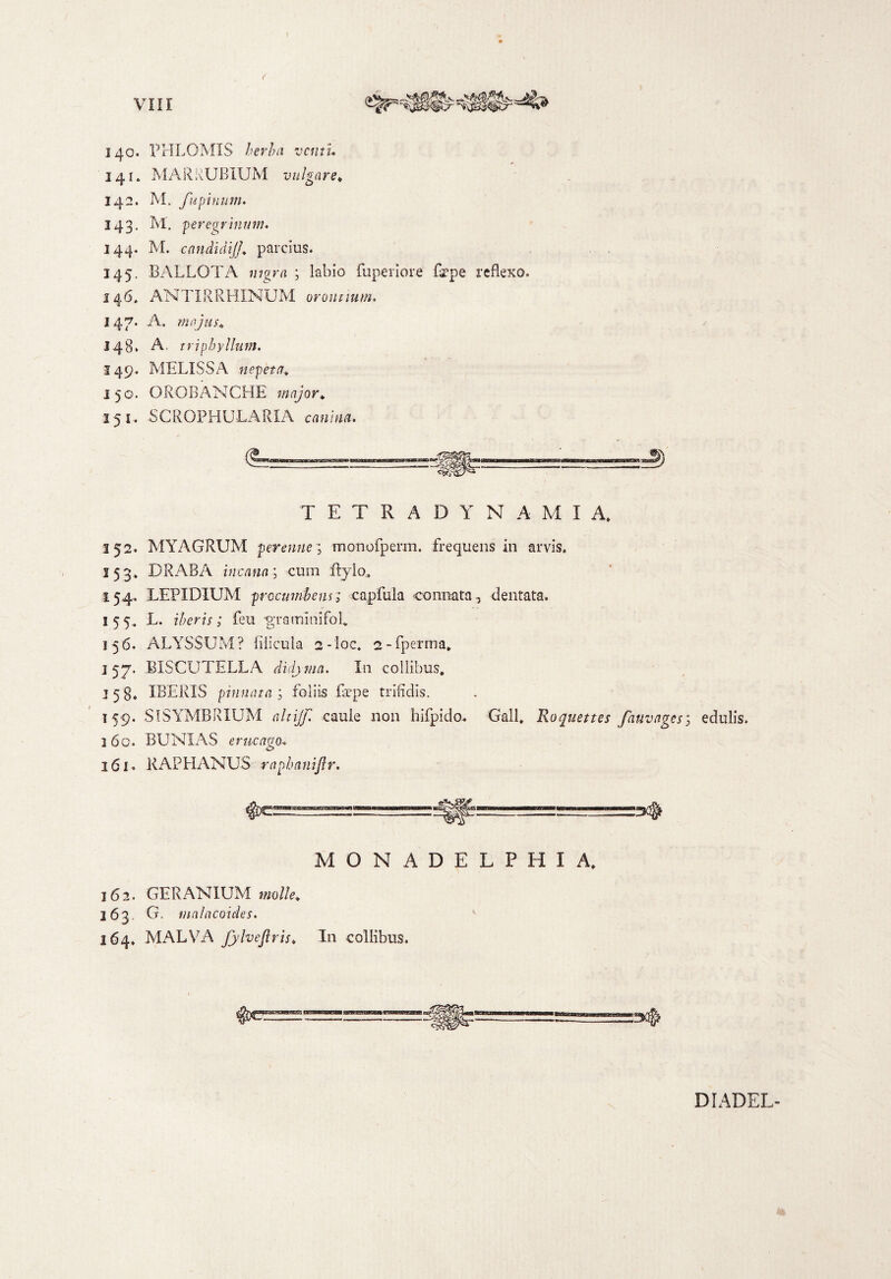 140. PHLGMIS herba venti. 141* MARRUBIUM vulgare. 142. M. fu pinum. 143. m. peregrinum. 144. M. candidijf parcius. 145. BALLOTA nigra ; labio fuperiore fiepe reflexo. 146. ANTIRRHINUM orommm. 147. A. majus. 148. A, tri phy Ilum. 149. MELISSA nepeta. 150. OROBANCHE major. 151. SCROPHULARXA *«»/«<!. TETRADYNAMIA* 152. MYAGRUM perenne; monofperm. frequens in arvis. 153» DRABA incana; cum ftjlo» 154. LEPIDIUM procumbens; capfula connata , dentata. 155. L. iheris; feu ‘grammifoU 156. ALYSSUM? filicula 2-ioc„ 2 - fiperma. I 57. BISCUTELLA didjma. In collibus. 158. IBERIS pinnata 1 foliis fiepe trifidis. 159. SISYMBRIUM altijf caule 11011 hifpido. Gall. Roquettes fauvages; edulis. 160. BUNIAS e rue ago. 161. RAPHANUS raphaniftr. MONADELPHIA, 16 2. GERANIUM molle. 163 G. malacoides. 164. MALVA fytvejlris. I11 collibus. DIADEL-