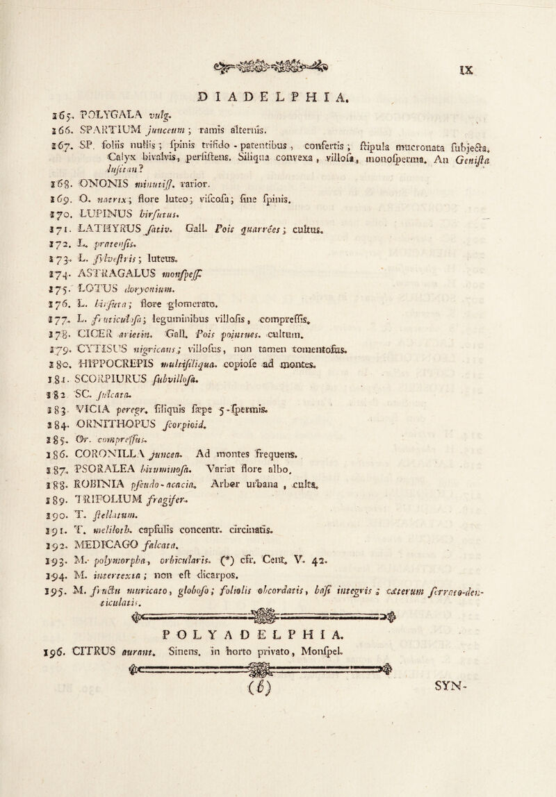 DIADELf HIA, 265.. POLYGALA vulg* 166. SPARTIUM junceum ; ramis alternis. 267* SP. foliis nullis; fpinis trifido - patentibus , confertis; Ripula mucronata fubie&a. Calyx bivafvis., perbitens. Siliqua convexa , villofa monolpeima. An Genifta In (it an ? 2‘5$. ONONIS minutiff. rarior. 169. O. natrix; flore luteo; vifcofa; fine fpinis. 170. LUPINUS hirfutus* 371. LATMYRUS fativ. GalL Pois quarrees; cultus* 272. L. fratenfis* 273. L. fyheflrii; luteus* 174. ASTRAGALUS moitfpe/f 175. LOTUS dorycnium. 176. L. hliftttn; flore glomerato. 277* L. fmticutfa; leguminibus villafis, compreflis, 17'g, CICER arietm, Gall. ToT pol ut nes* cultum. 279. CYTISUS nigricans,; villofus, non tamen tornent oisss* l 8 0. HIPPO CREPIS tnultifiliqtuu copiofe ad montes* 1 gj. SCORPIURUS fubvillofi. jgi SCo fulcata* 283. VICIA peregi Aliquis flepe 5-fpermis. 284« O RNITHOPUS fcorpioid. 185.. Or. compreffhs* 2 86. CORONILLA Jtniceiu Ad montes frequens. I 87. PSORALEA bhumimfa. Variat flore albo, 18 8- ROBINIA pfeudo- acacia* Arb«r urbana , culta* 189» TRIFOLIUM fragi/er-* 290. T. felinum* 291. T. meliloth. capfulis concentr. circinatis. 192. MEDICAGQ falcata. 293. M.* polymorphat orbicularis* (*) cfr. Cent0 V. 42. 194. M. intertexui; non efl: dicarpos. 195. M. fructu muricato, gtobufo; foliolis ohcordatis, bafi integris; eat erum ferrato-deu' tic ulatis. $*= P GLYADELPHi A. 196. CITRUS aurnnt. Sinens, in borto privato, MonfpeL SYN- /