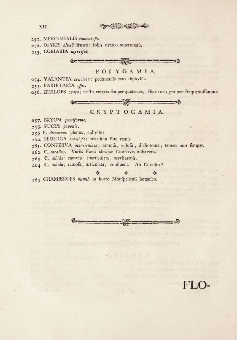 551, MERCURIALIS tornentcflu 252. OSYRIS frutex; foliis ovata-mucronatis^ 253. CORIARIA myvtifoh POLYGAMI A, 254. VALANTIA cruciata; pedunculis non diphylEs. 255. PARIETARIA offic. 256* VIGILOPS ovata; ariRis calycis femper quaternis* His 111 oris gramen frequentiftimuirr. CRYPTOGAMIA. 257. BRYUM pomiforme; 25S. FUCUS favonie. ■, 259 F. diehotom. planus, apTiylfus, 260, SPONGIA tnhulopi; interdum fine ramis. 261. CONFERVA inarticulata; rsmofa, villofa , diefiotorna; tamen n©n femper. 26 2 . C* cor allitu Variis Focis afiisque Confervis adhaerens» 262- C. albida ; ramofa , inarticulata, nerviformis» 264. C. albiday ramofa, articulata, confluens» An Coraflin? •?$> ^ 265 CHAMfEROFS humiL in horto Monfpelienfi botanico. FLO